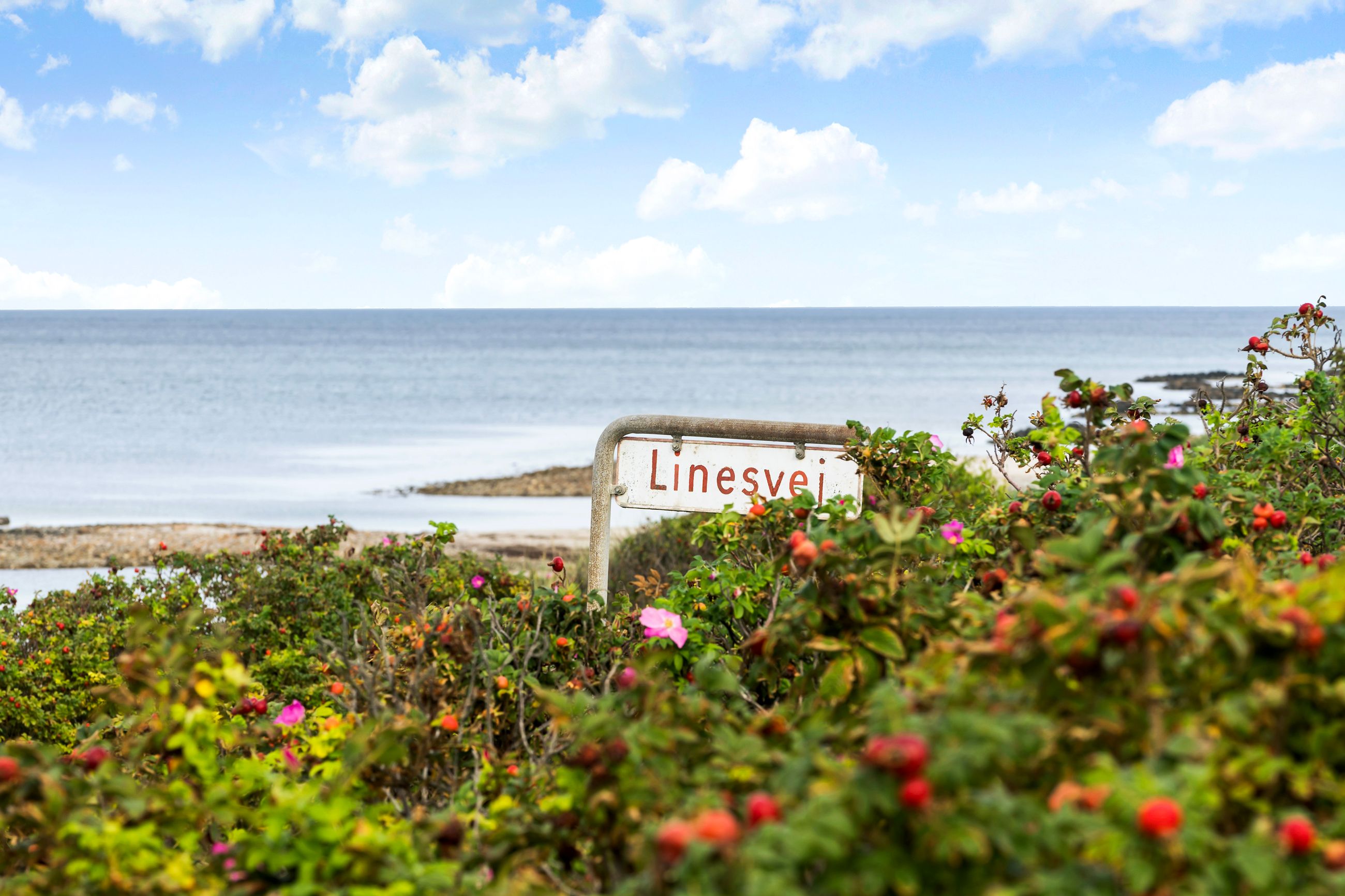 Linesvej 11, Hundested - Havudsigt