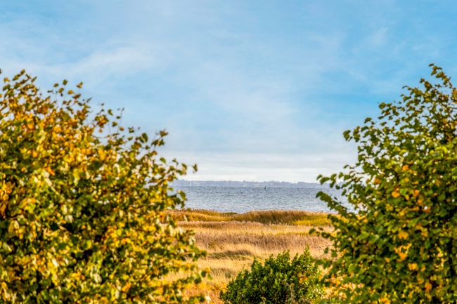 Vierdiget 10,  Rækkehus