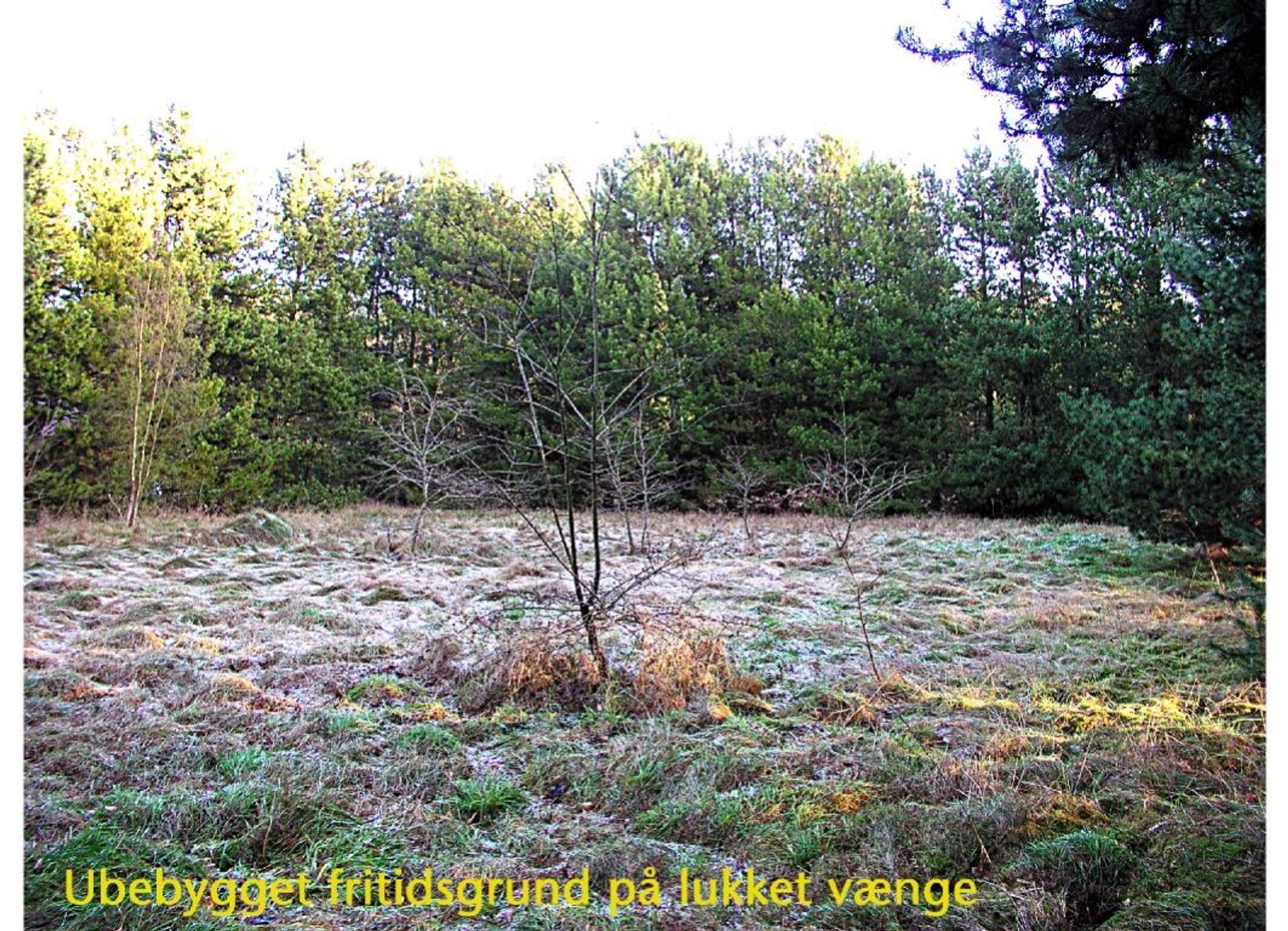 Mågevej 45, Skellet Mou Grund