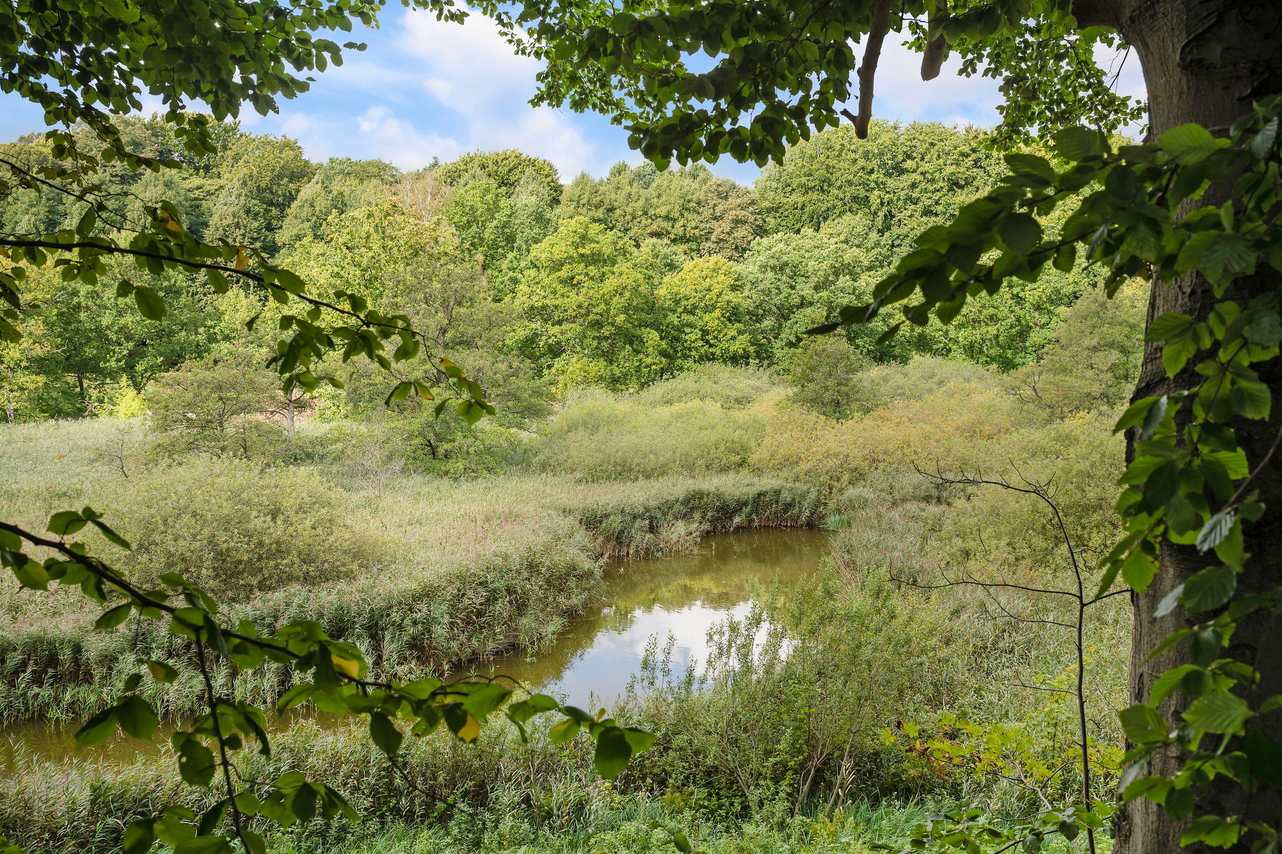 Fuglevadsvej 67B, Kongens Lyngby - Område