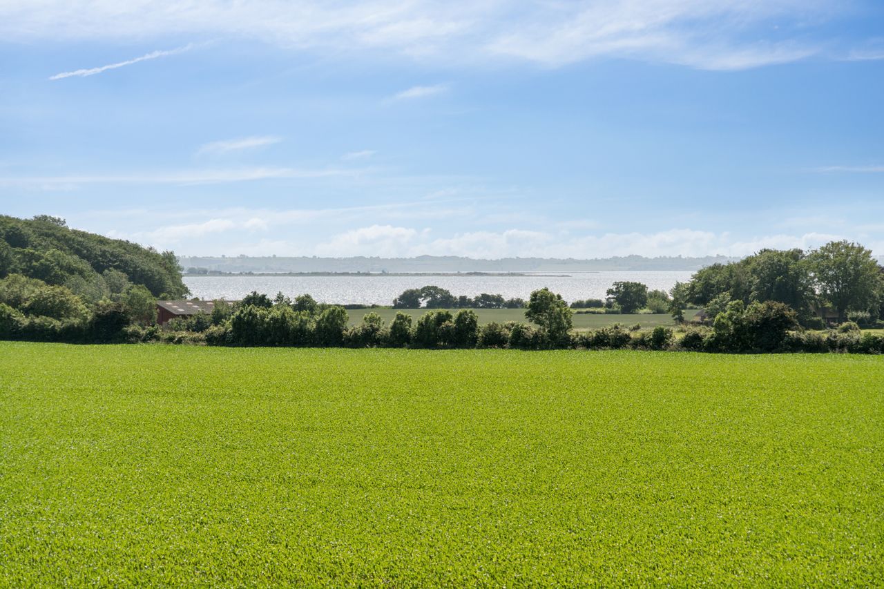 Ejendomsbillede 2 af 38