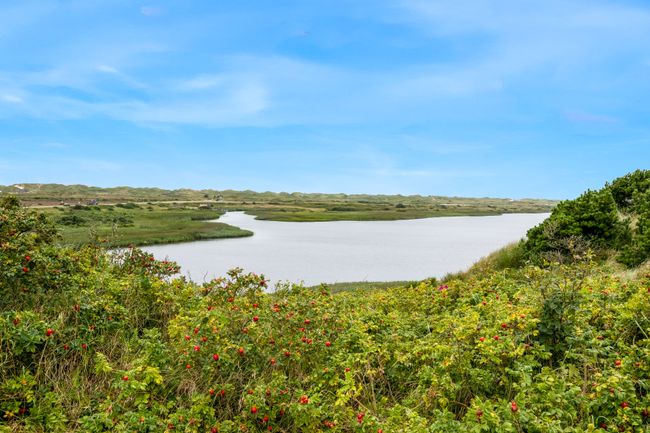 Bjålumvej 19,  Nymindegab