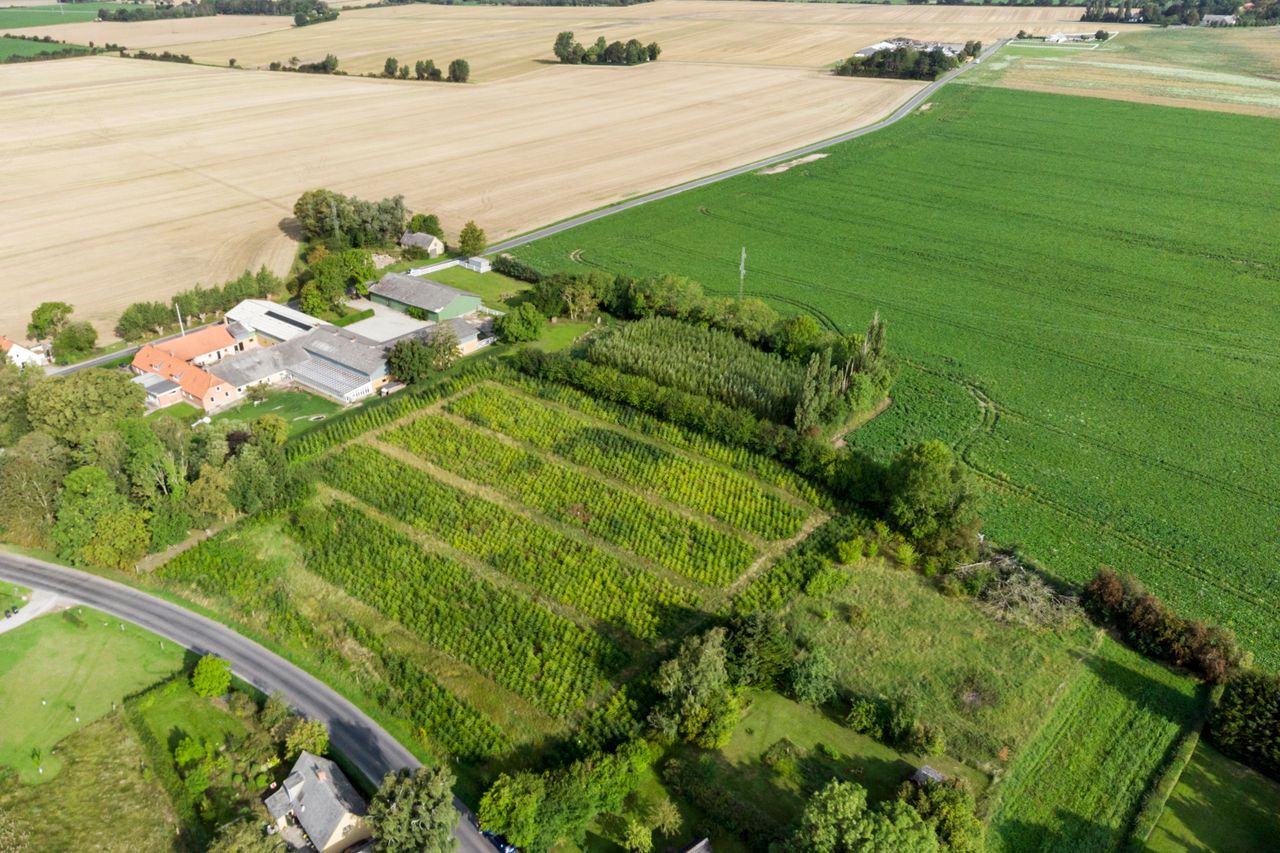 Ejendomsbillede 3 af 11