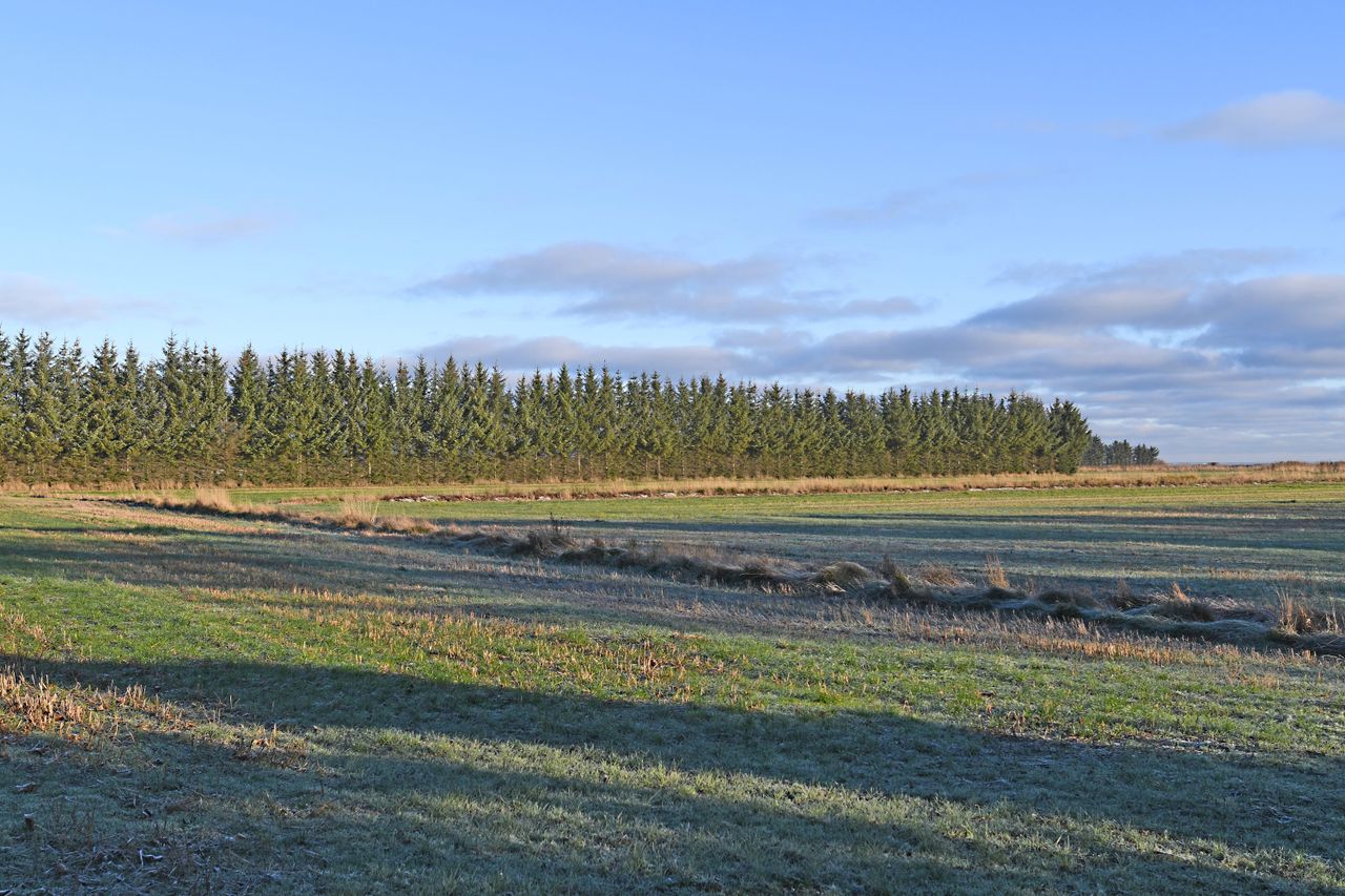 Ejendomsbillede 2 af 7