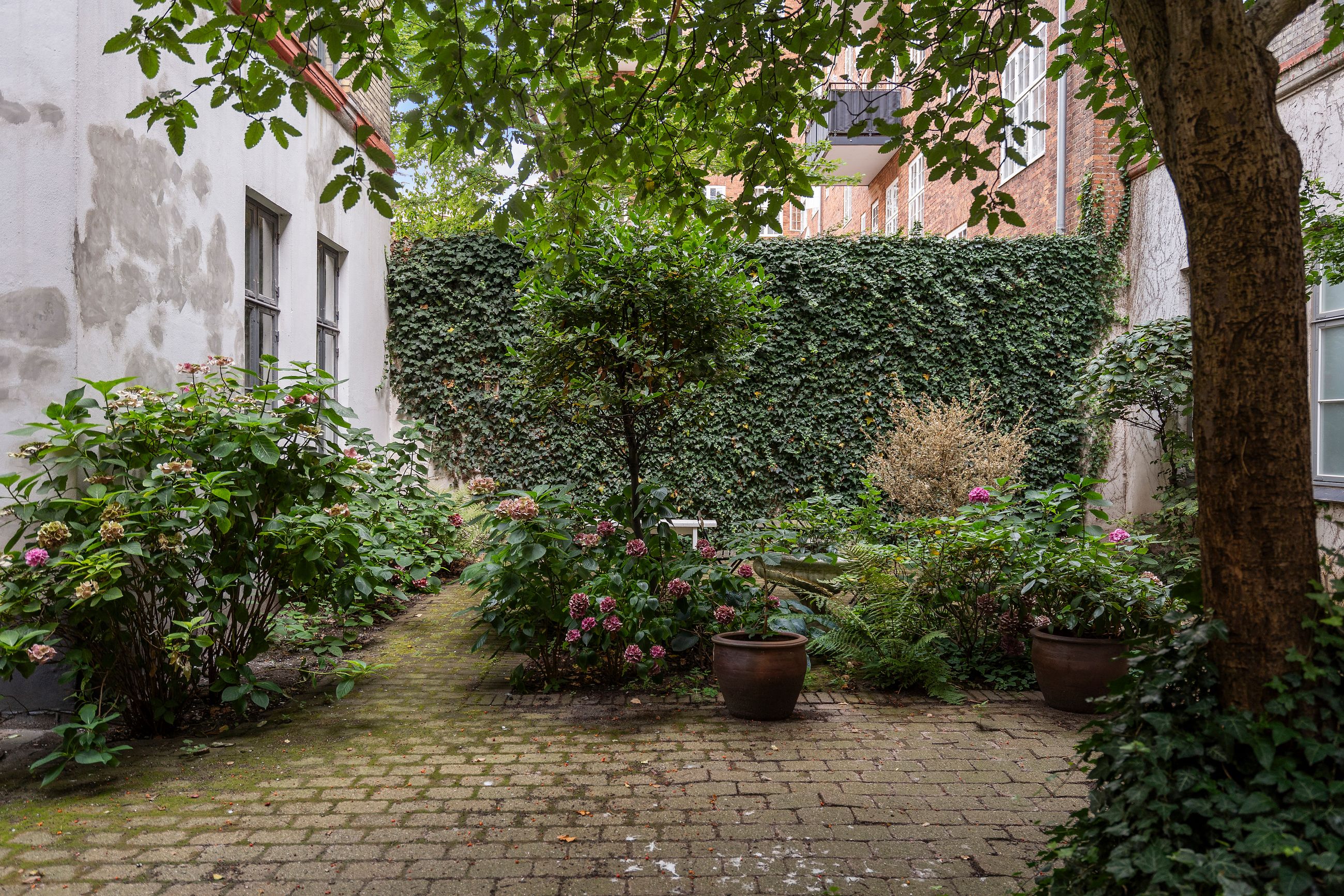 Østerbrogade 104, 5. tv, København Ø - Have