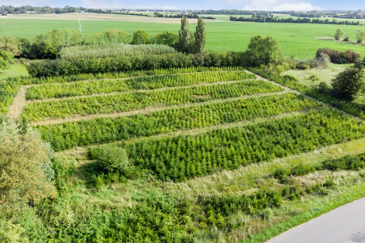 Ejendomsbillede 2 af 11