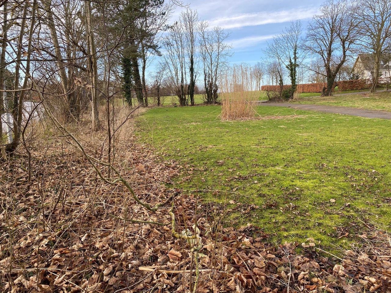 Ejendomsbillede 3 af 5