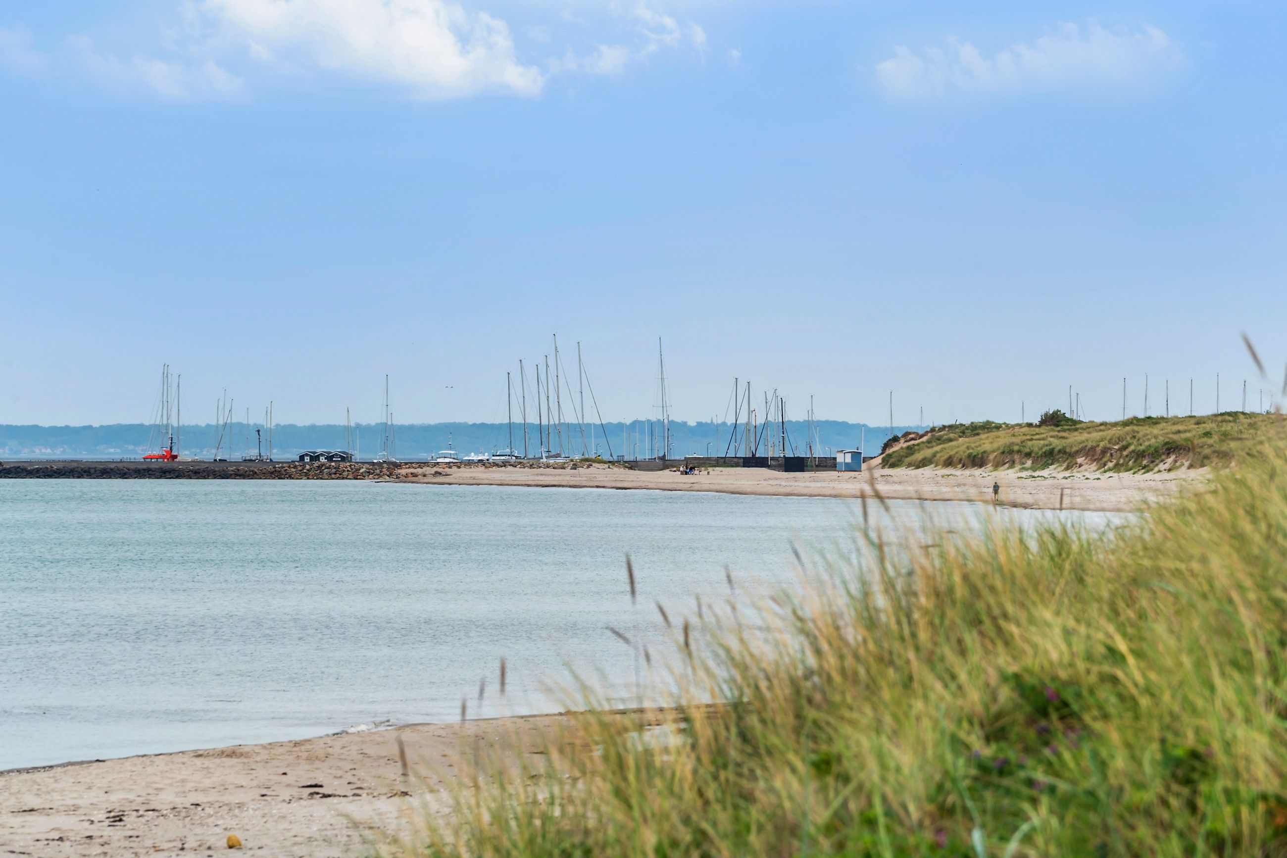Fuglevej 5, Kildekrog, Hornbæk - Område