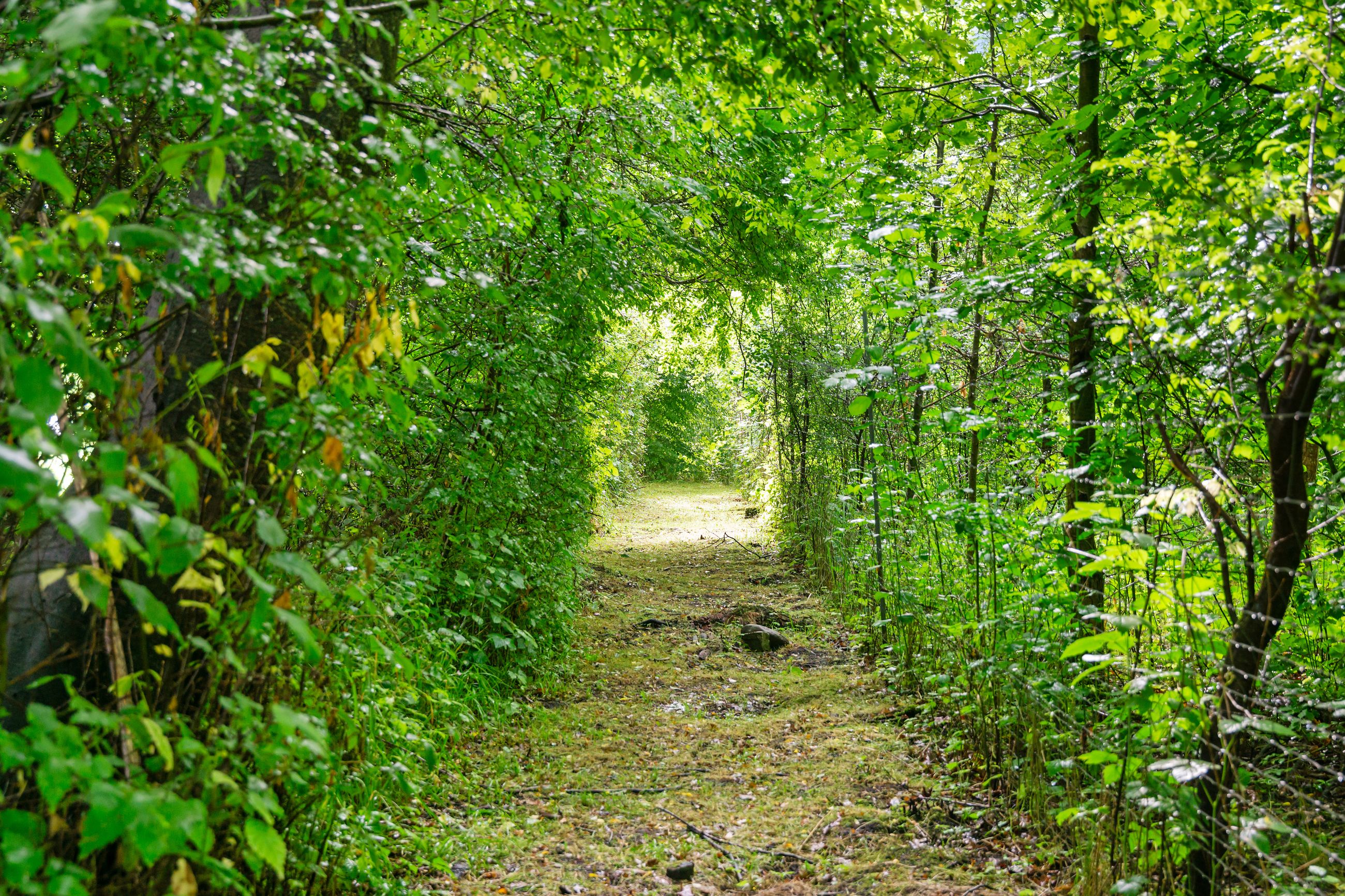 Toftholmvej 18, Lammefjorden, Asnæs - Område