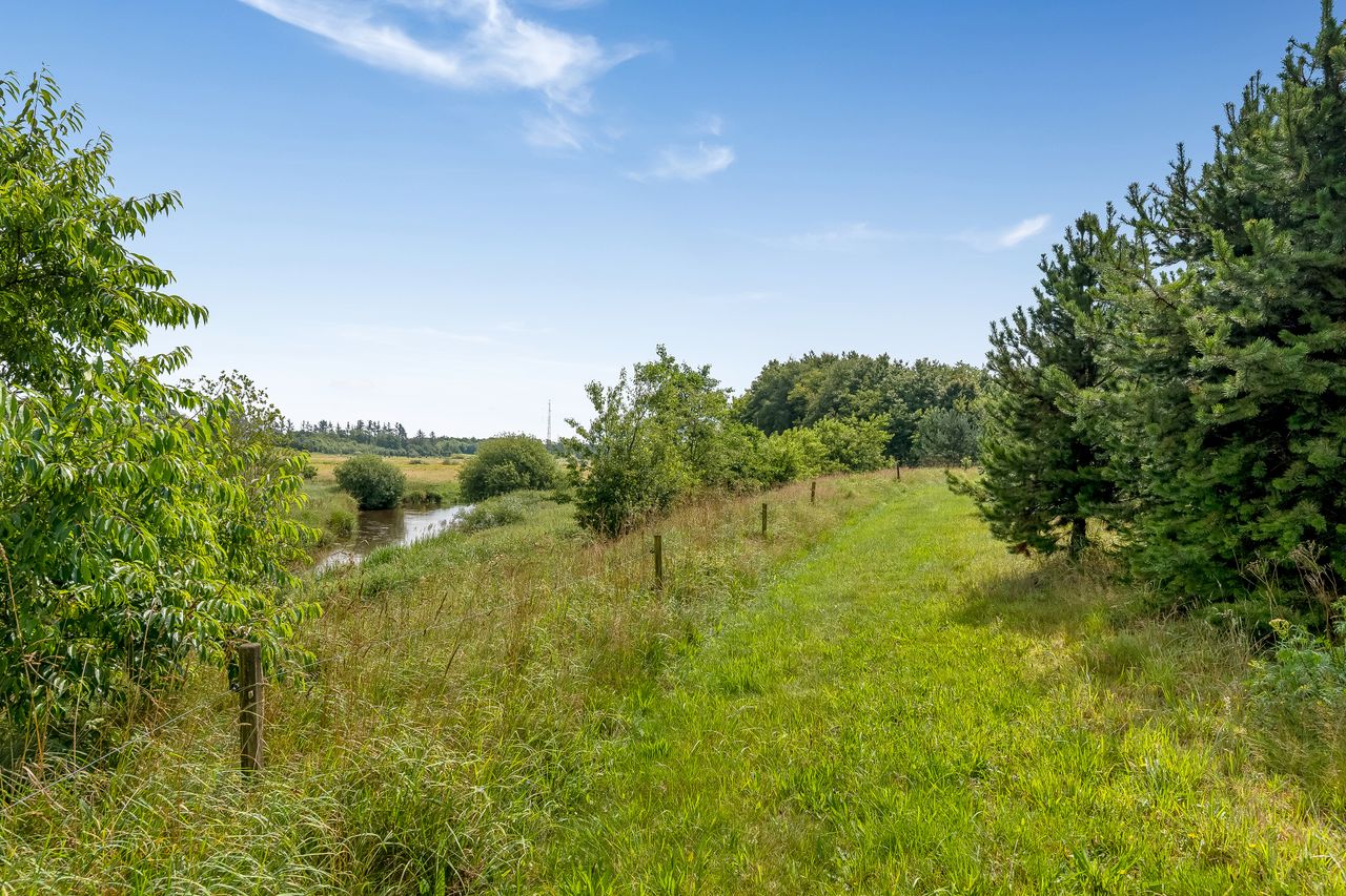 Ejendomsbillede 2 af 44