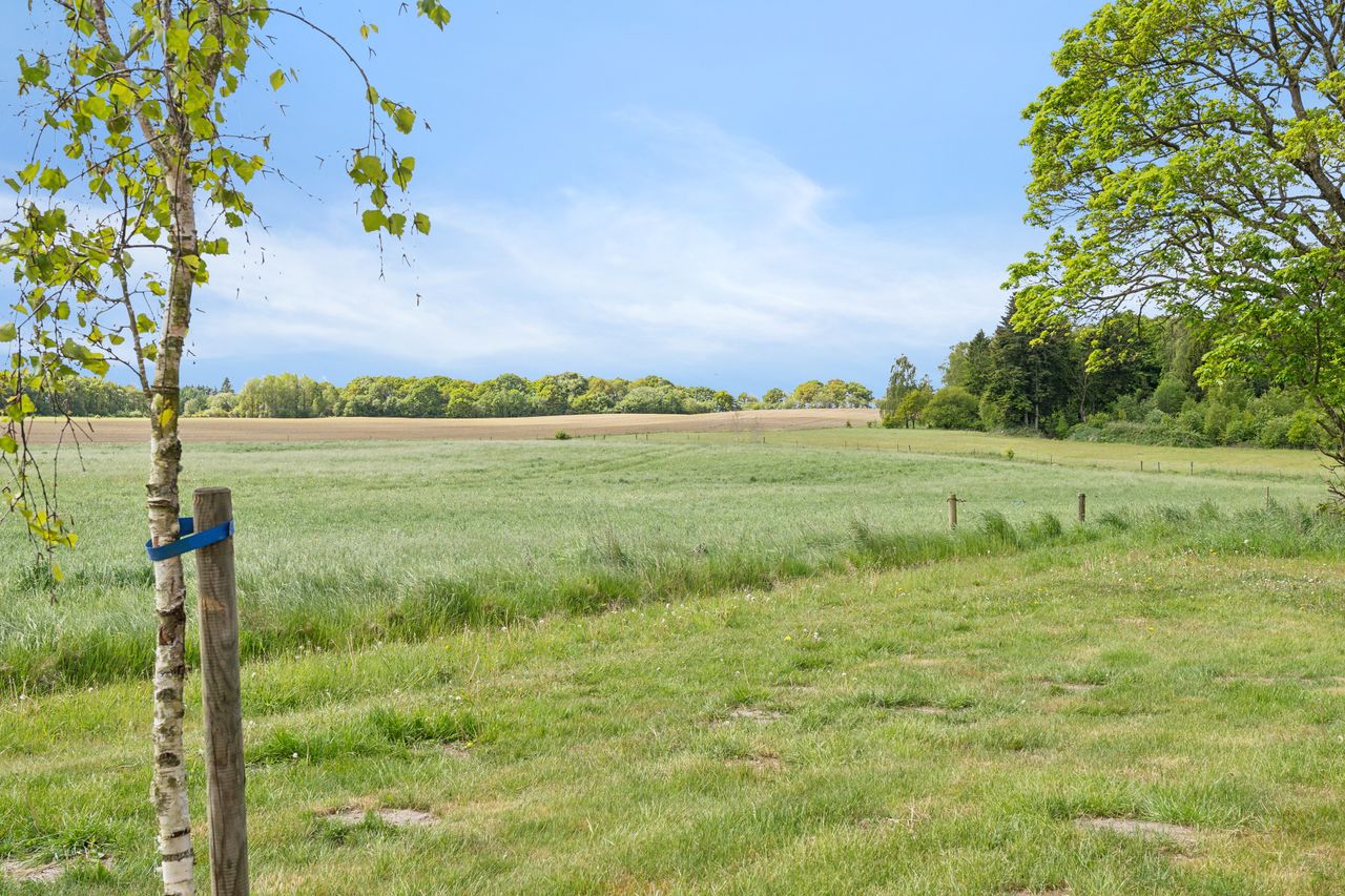 Ejendomsbillede 3 af 15