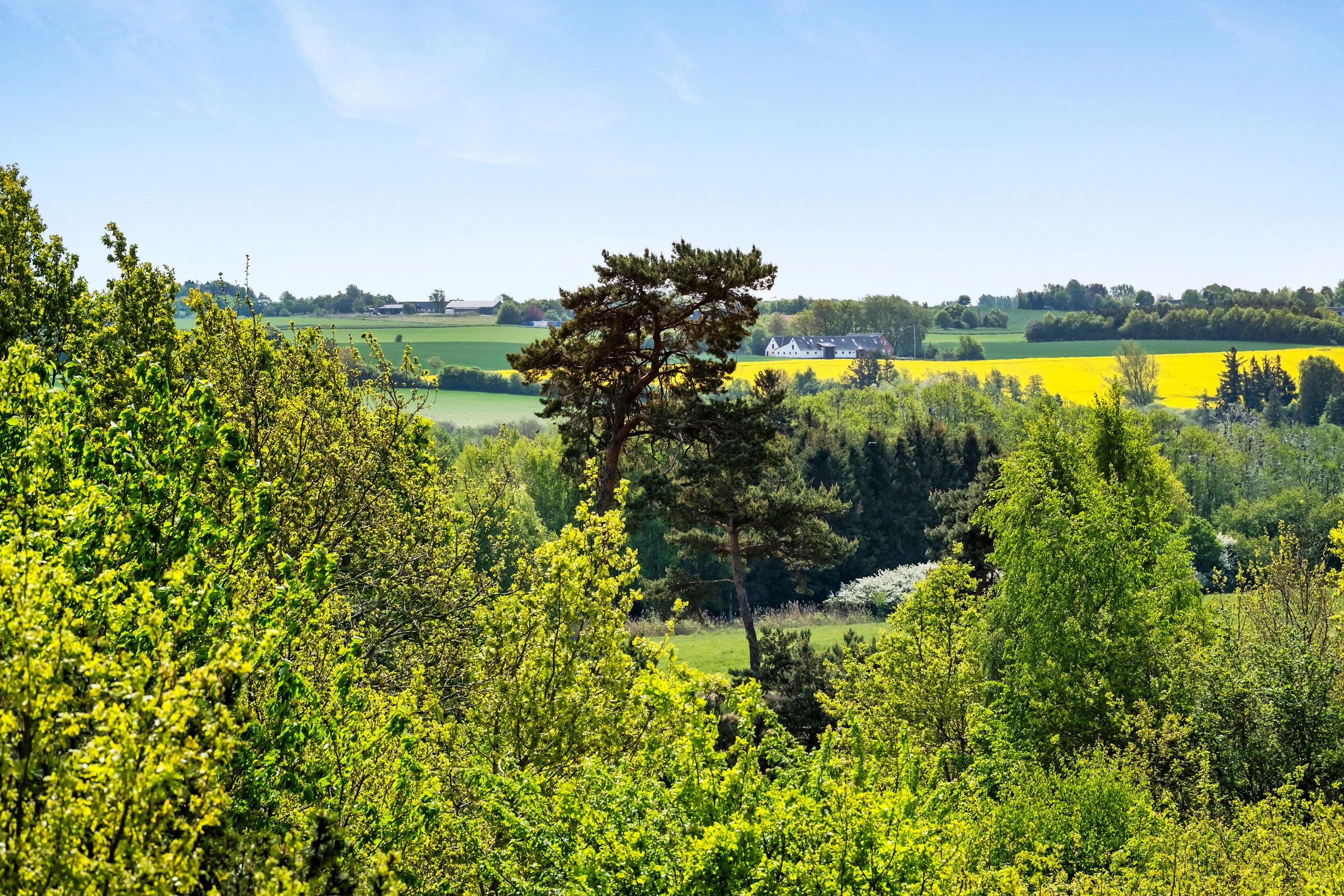 Øvrevænget 8, Tisvildeleje - Område