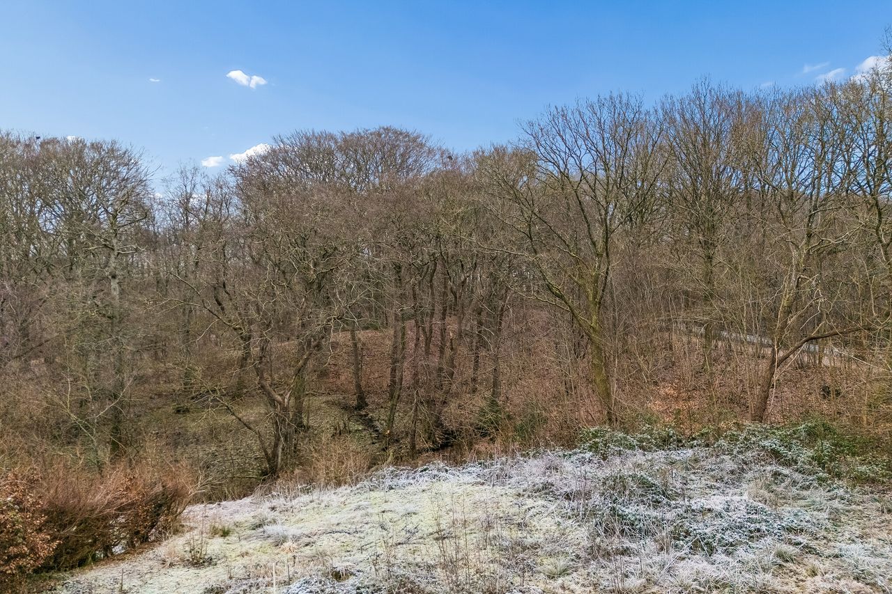 Ejendomsbillede 3 af 13