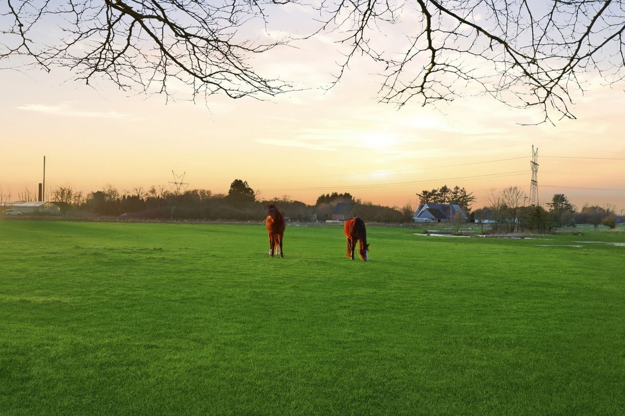 Ejendomsbillede 3 af 25