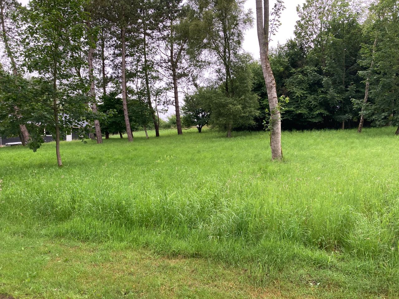 Ejendomsbillede 3 af 5