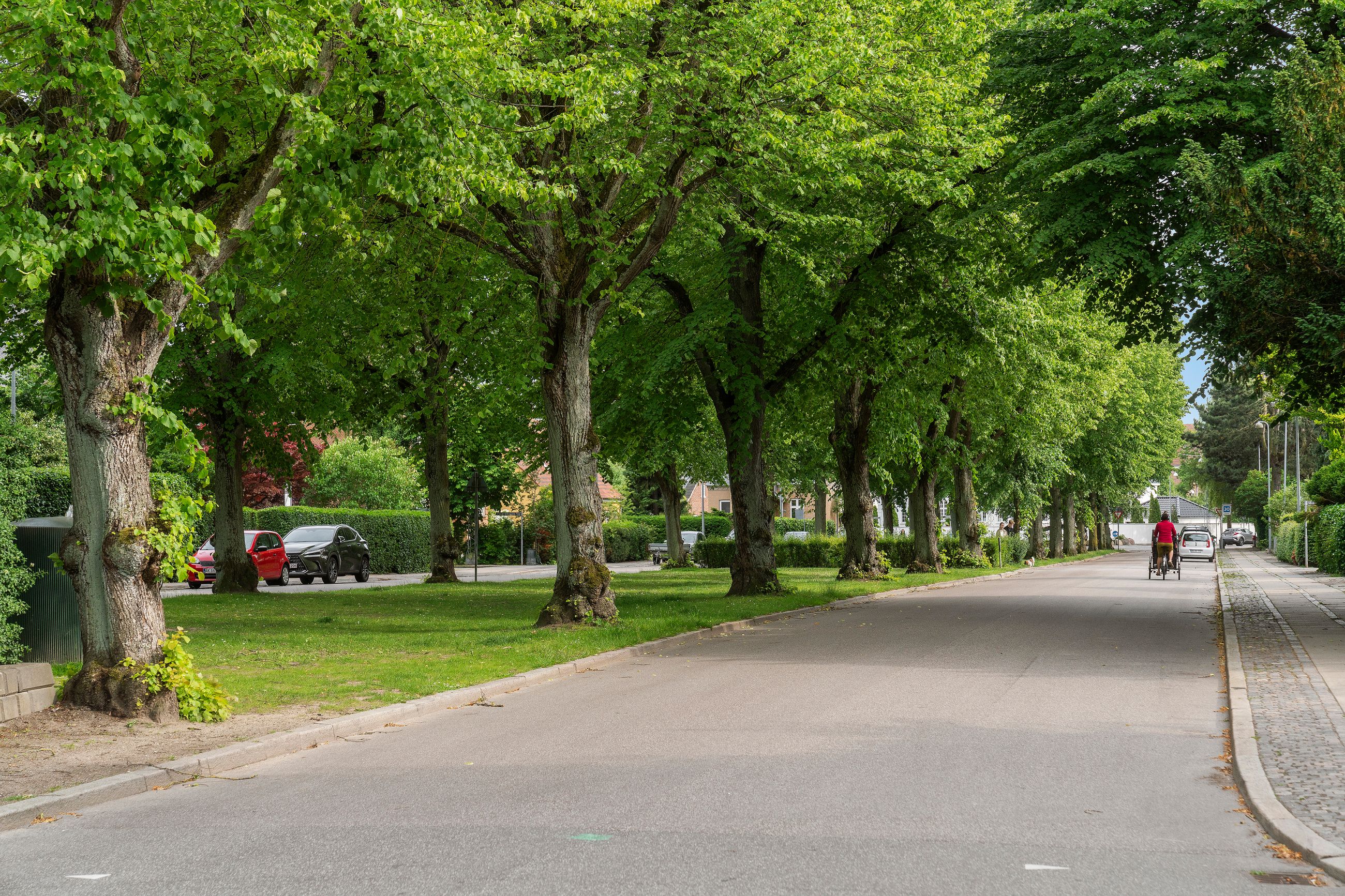 Femte Juni Plads 12, 1, Frederiksberg - 11-Omraade.jpg