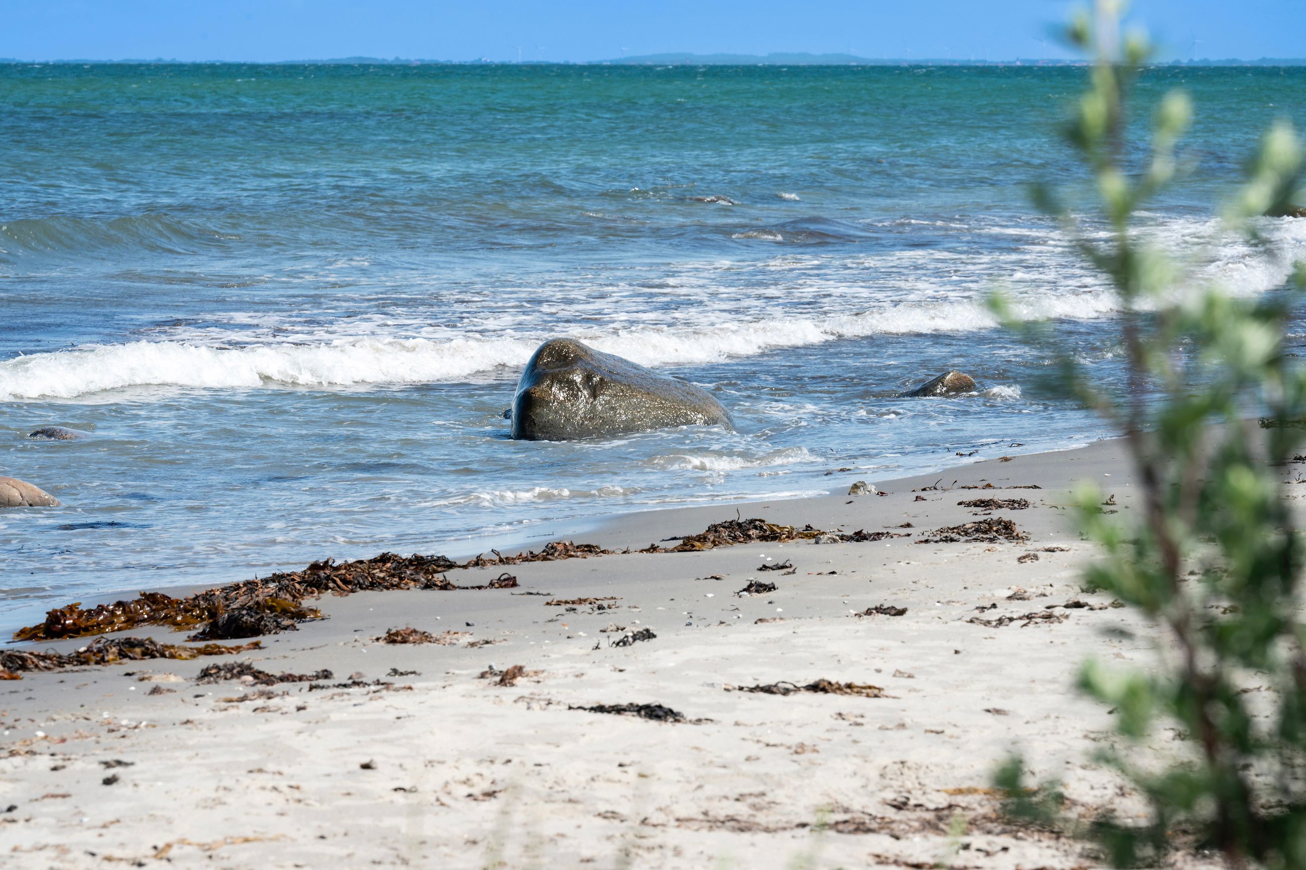 Fabersvej 5, Gilleleje - Havudsigt