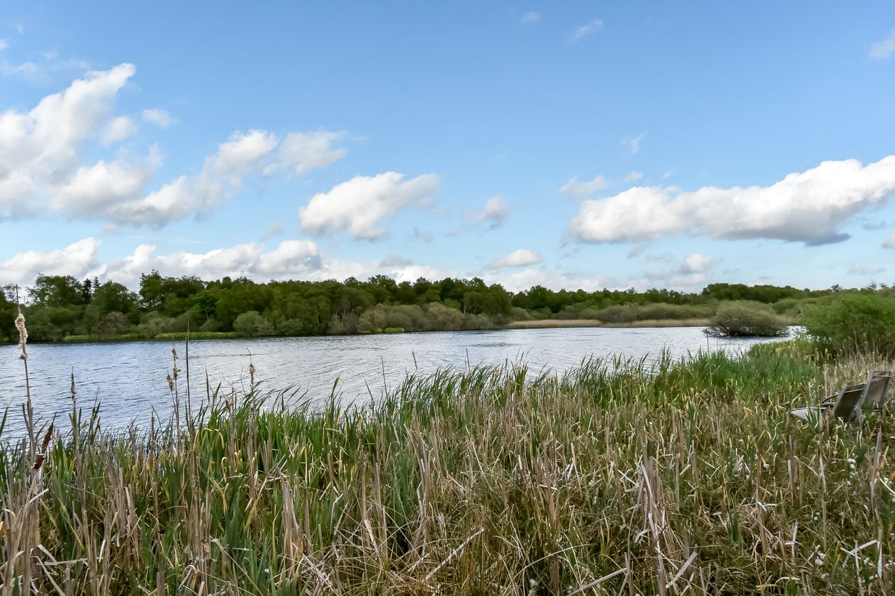 Ejendomsbillede 3 af 51