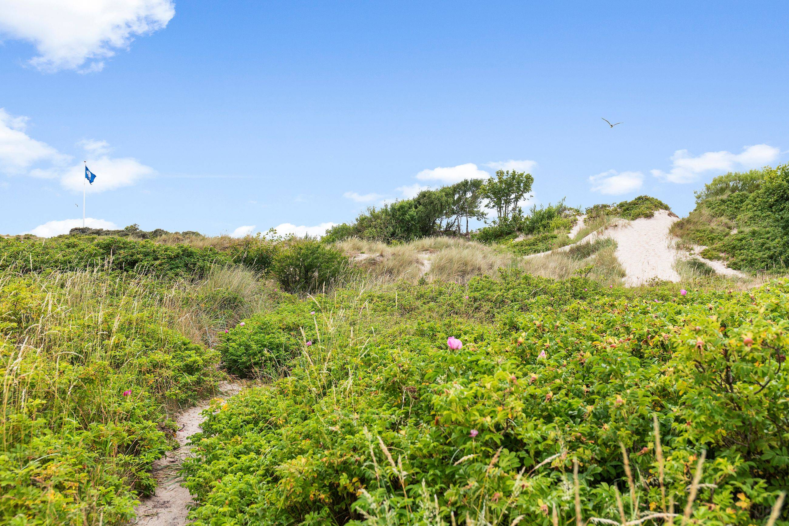 Solbakkevej 51, Hornbæk - Område