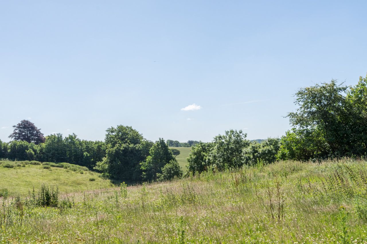 Ejendomsbillede 2 af 12