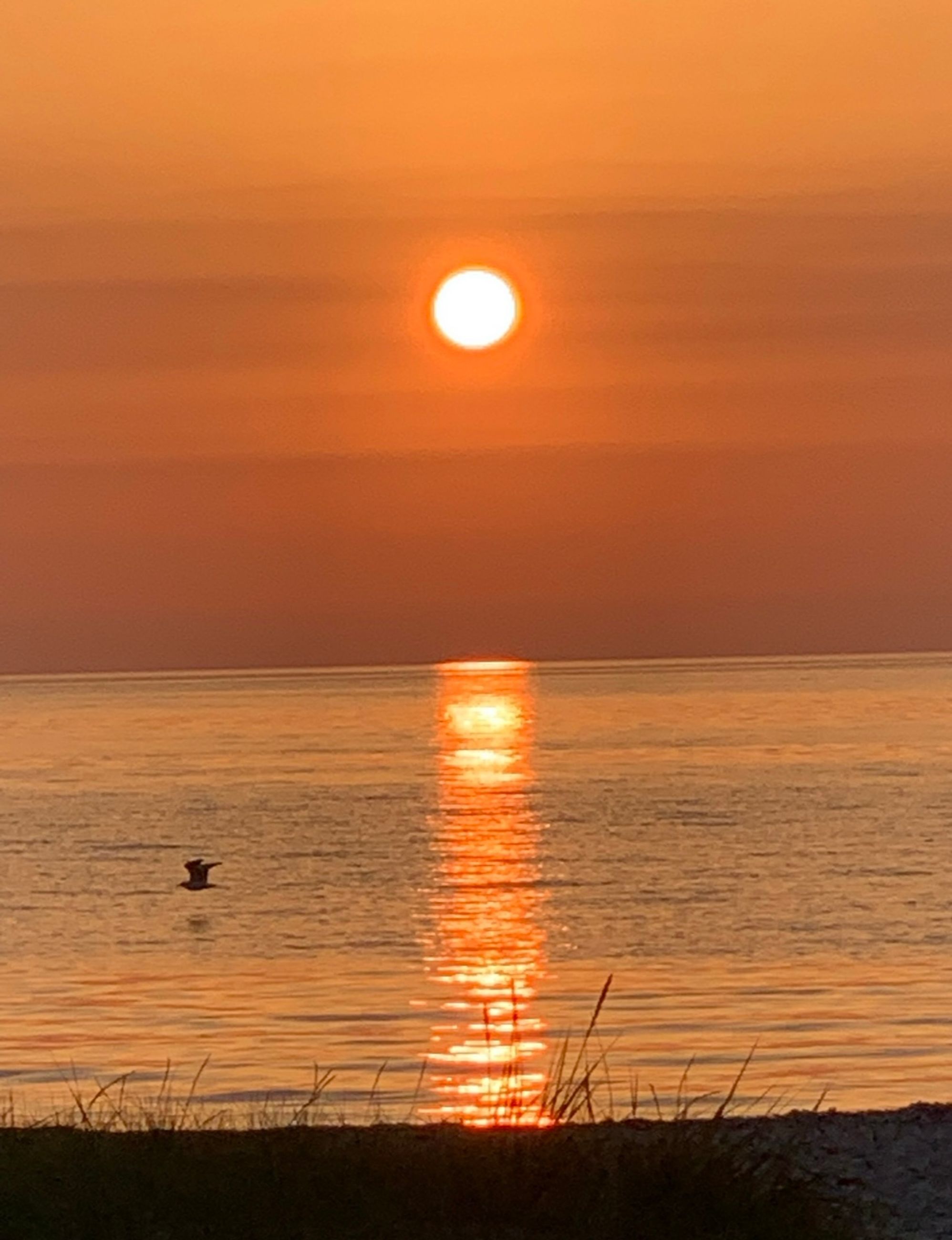 Nordre Strandvej 76C, Højstrup, Helsingør - image00001.jpeg