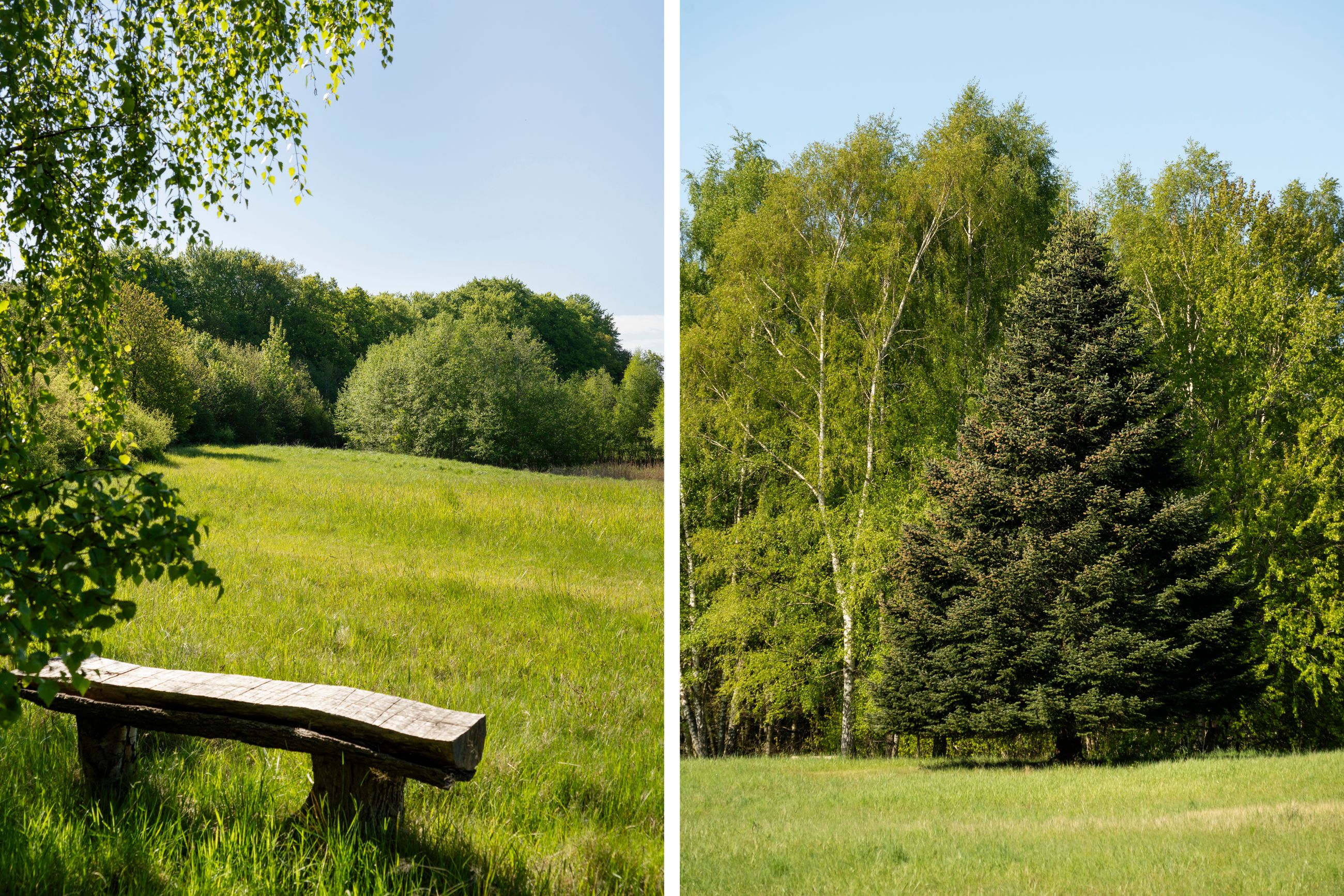 Høveltevej 86, Birkerød - Høveltevej 86 081a.jpg