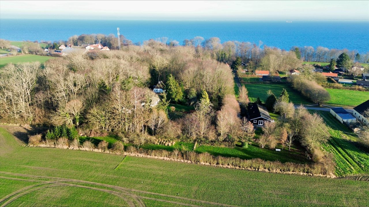 Ejendomsbillede 3 af 36