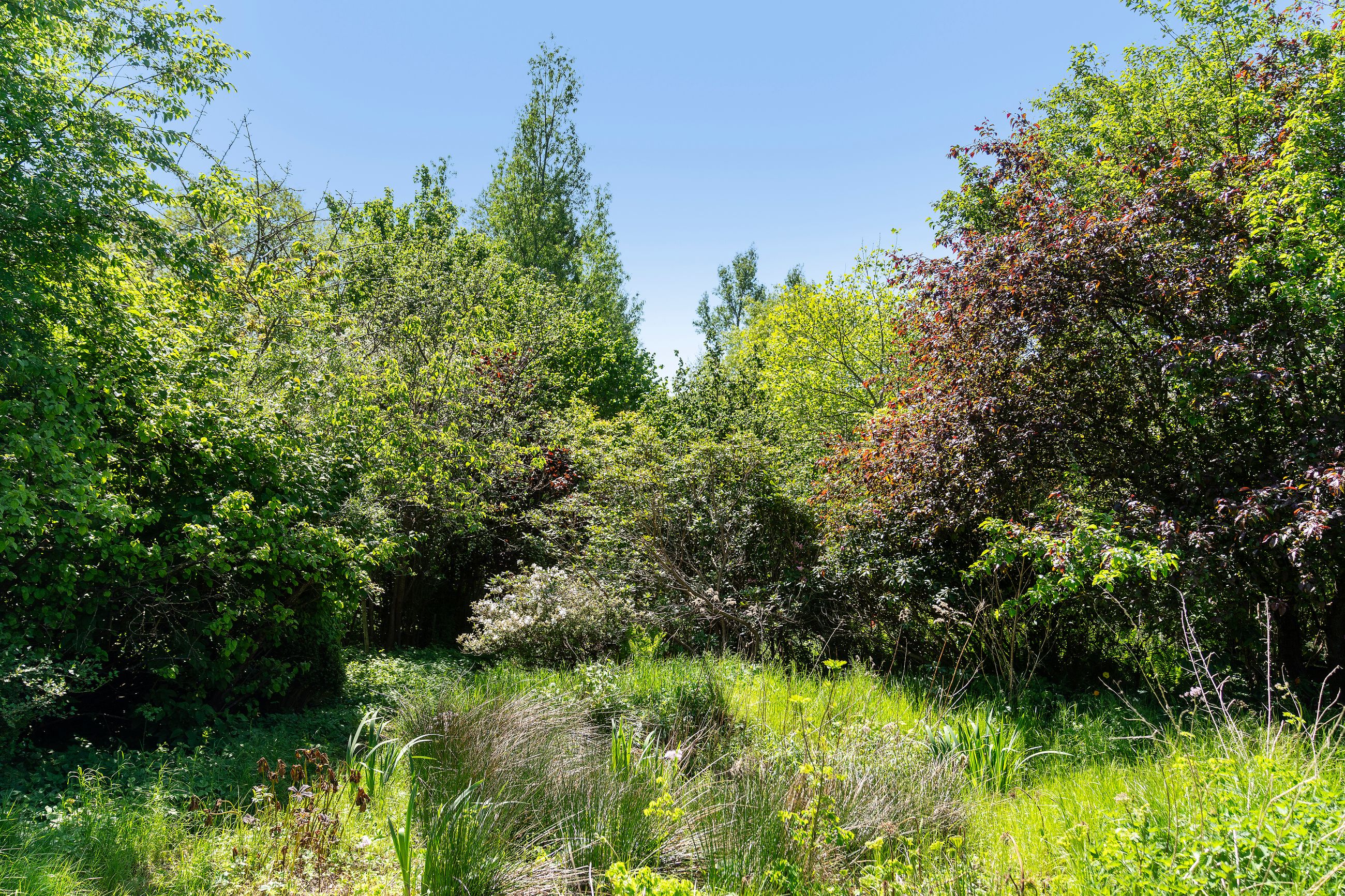 Hestetangsvej 149, Farum - Område
