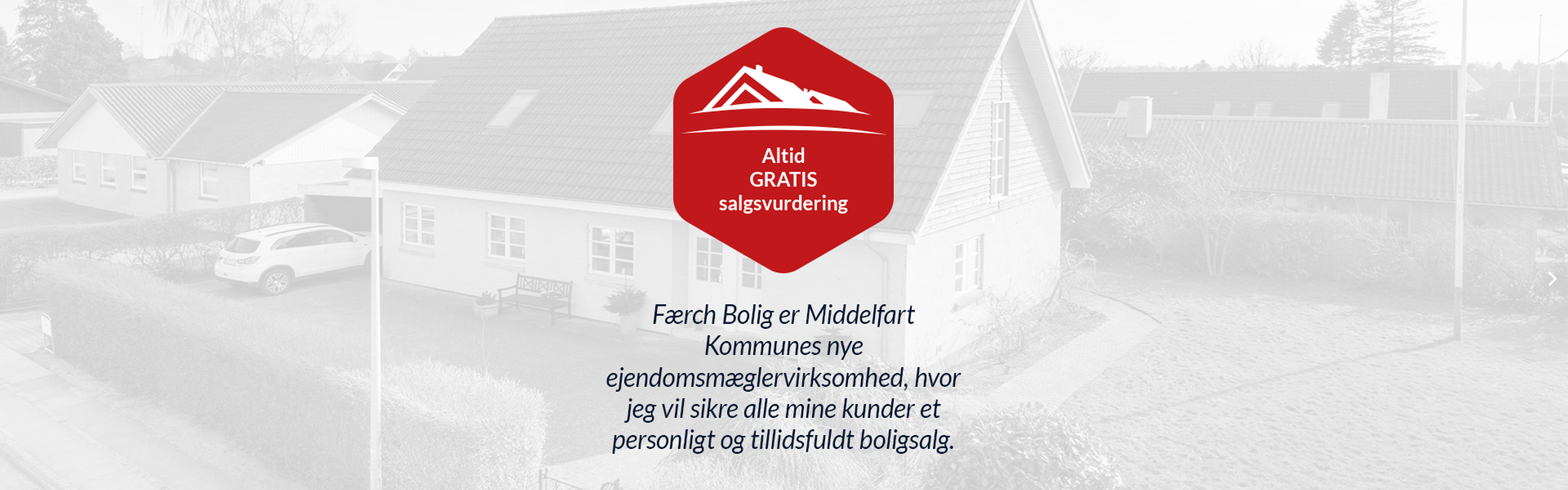 Billede