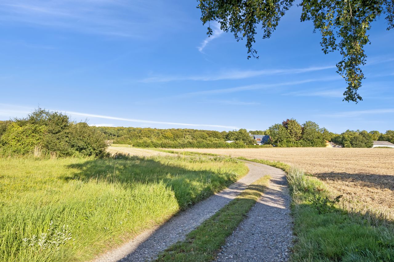 Ejendomsbillede 2 af 16