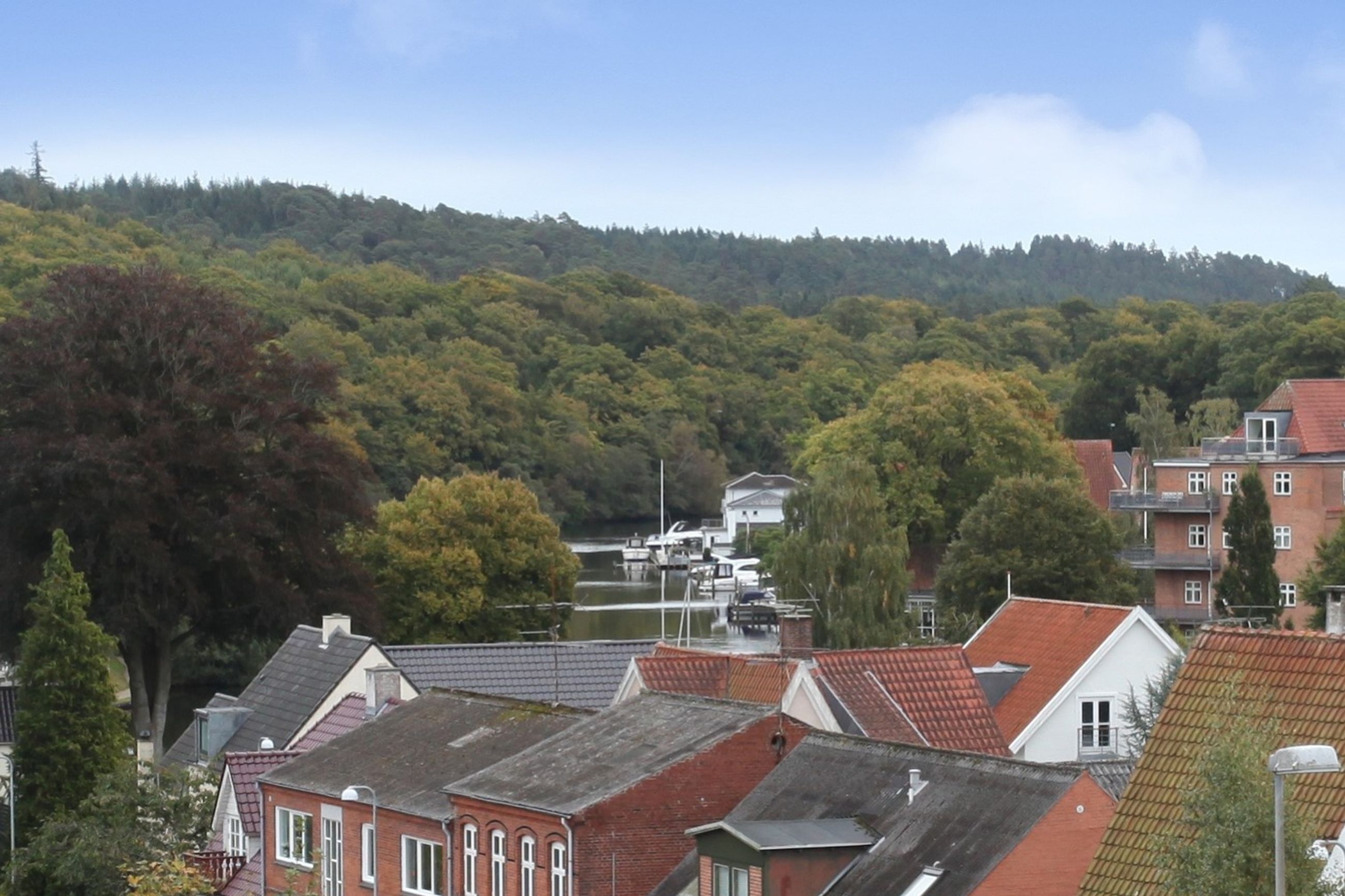 Drewsensvej 4, 3. 1., Midtbyen Andelsbolig