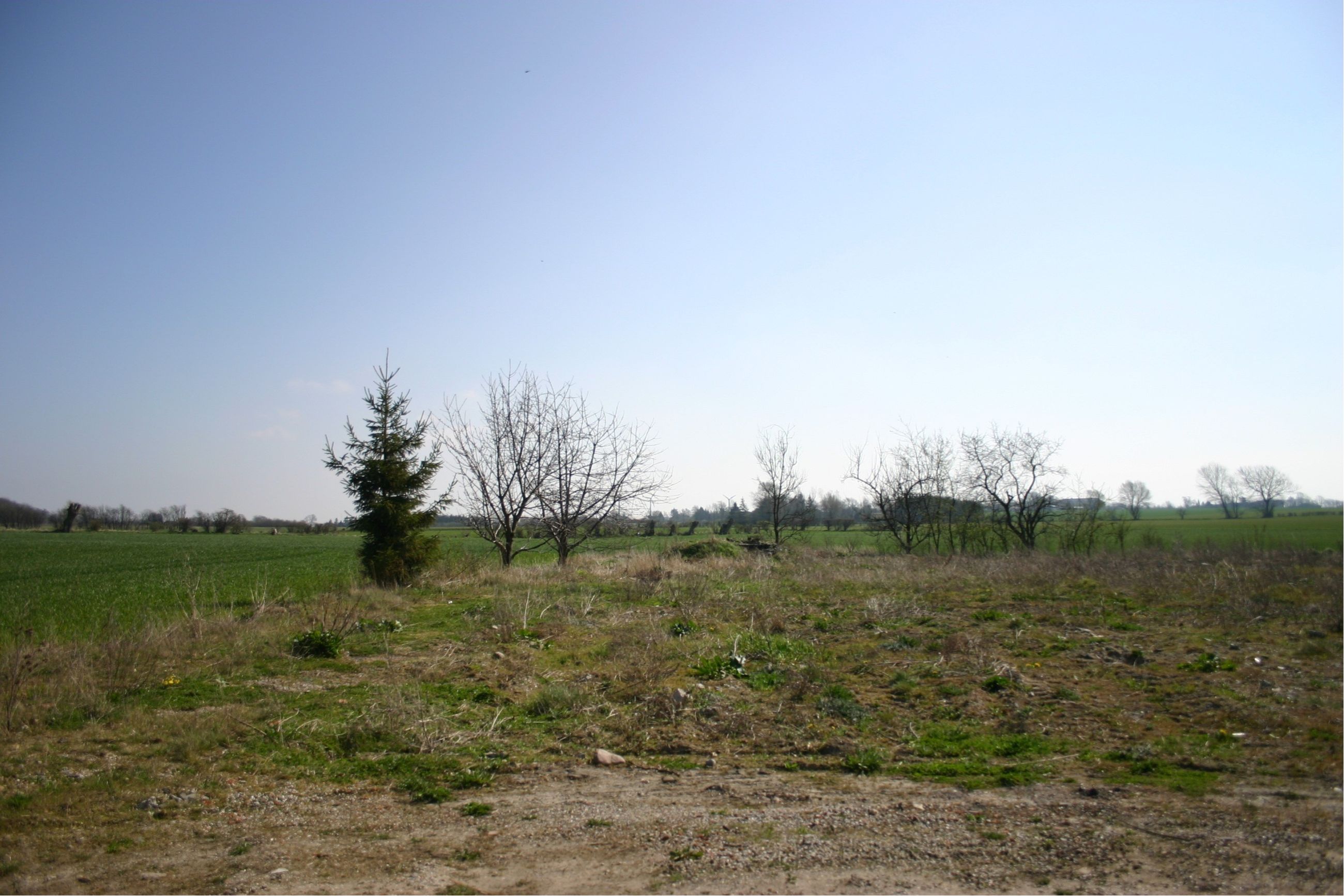 Skovballevej 59 Grund