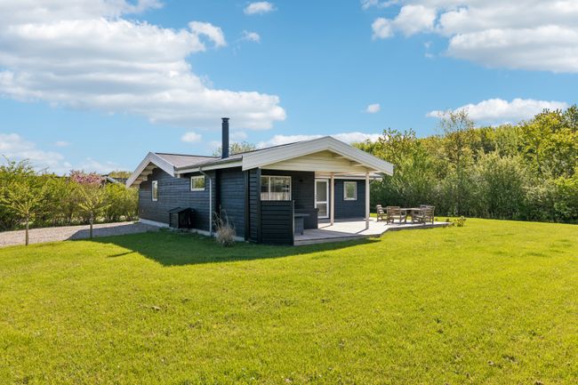 Hyldemose 1,  Skovmose