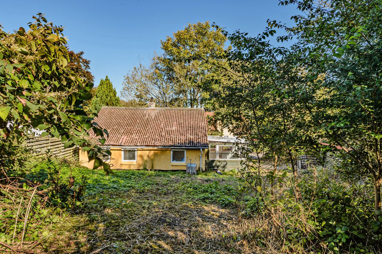 Ejendomsbillede 3 af 24