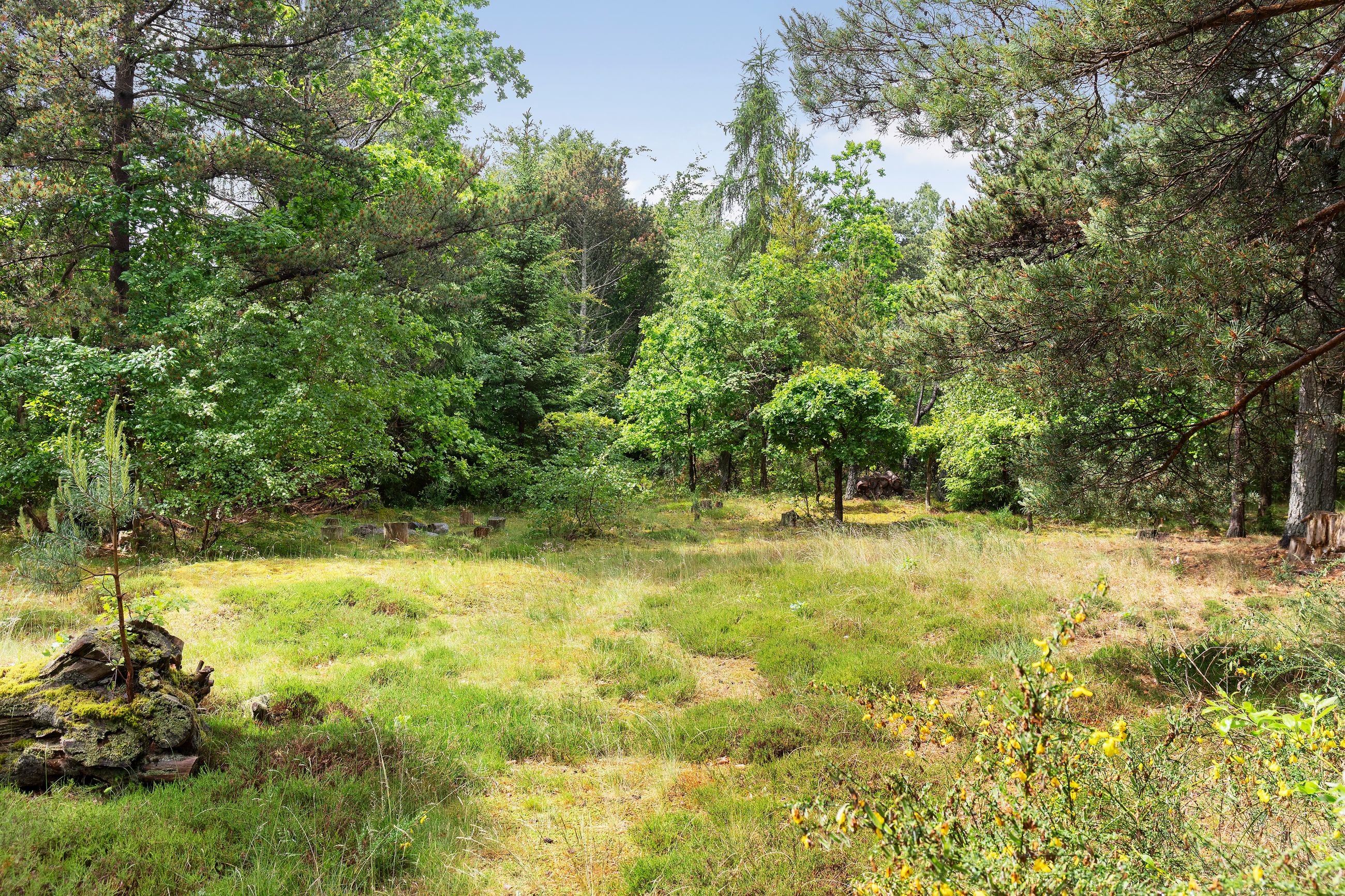 Privatvej 55, Frederiksværk - Område