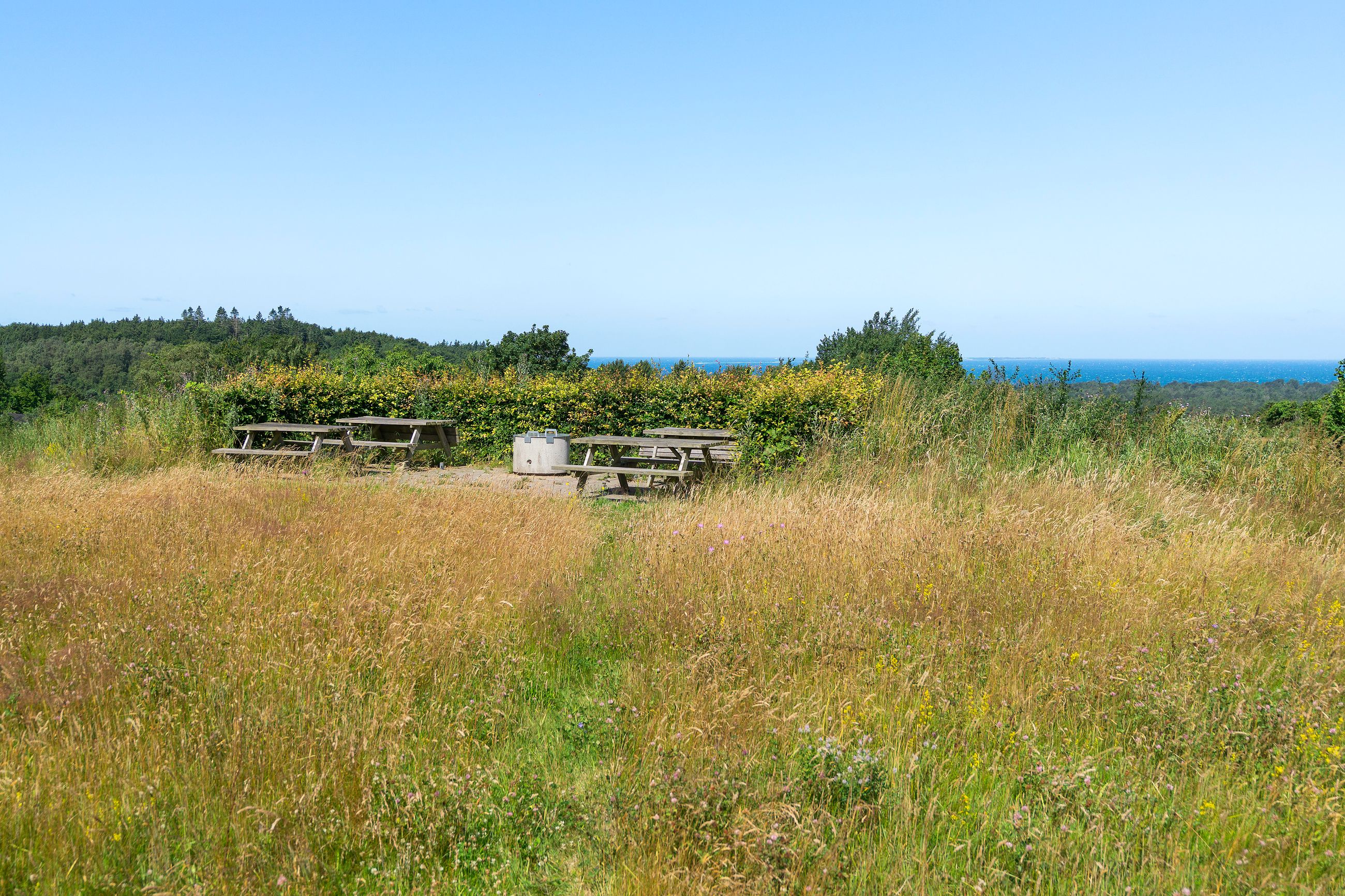 Nissestien 1B, Kårup, Fårevejle - Område