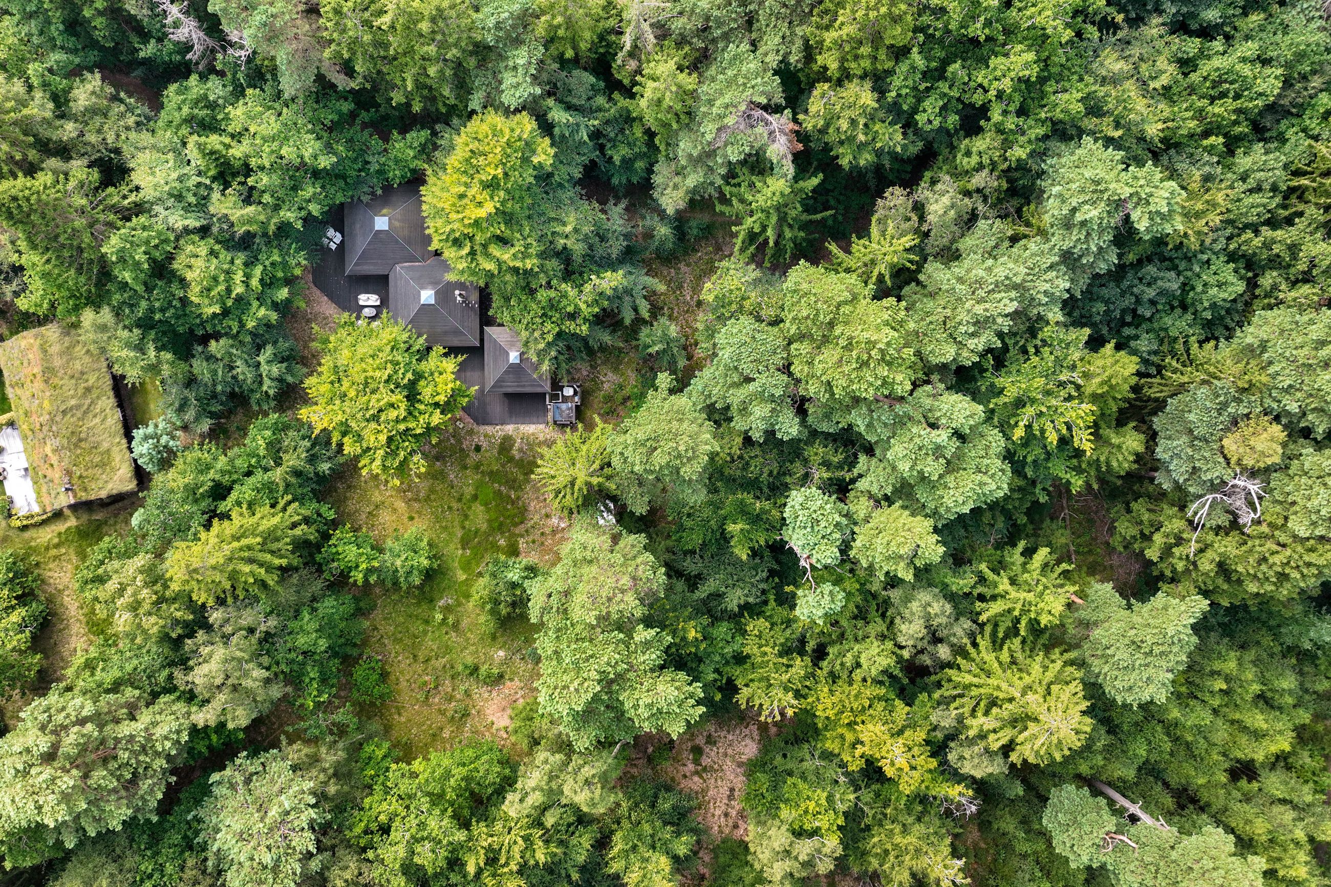 Klitrosevej 36, Frederiksværk - DJI_0538-2