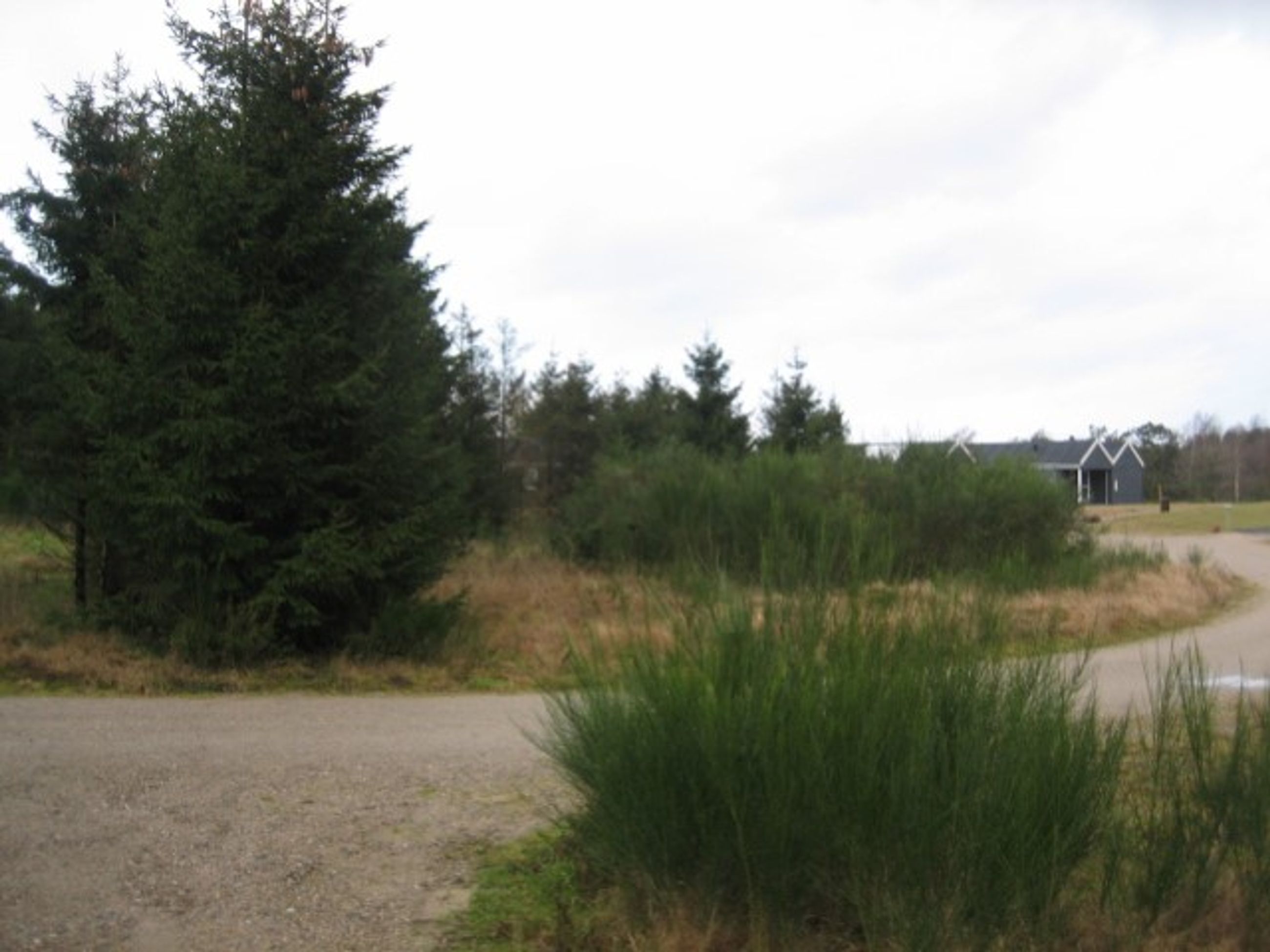 Ulvevej 3, Ertebølle Grund