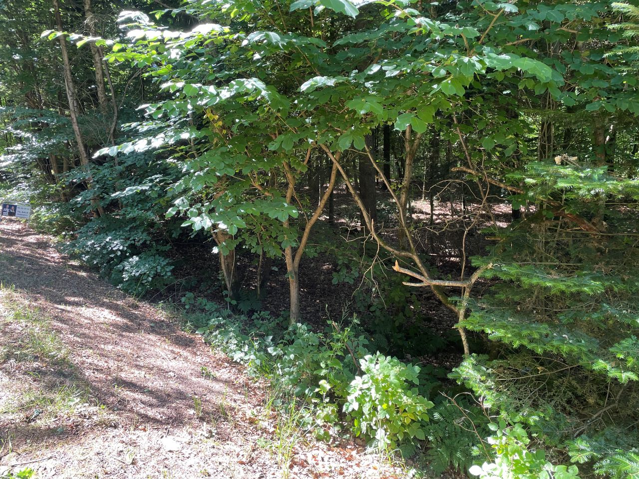 Ejendomsbillede 2 af 4