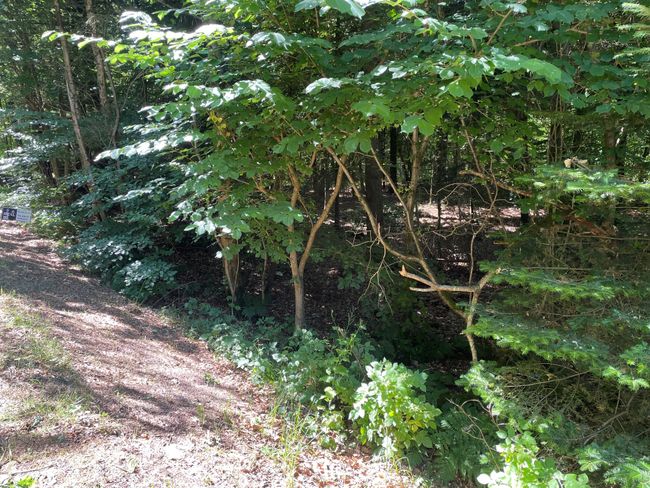 Søttrupvej 49,  Gatten