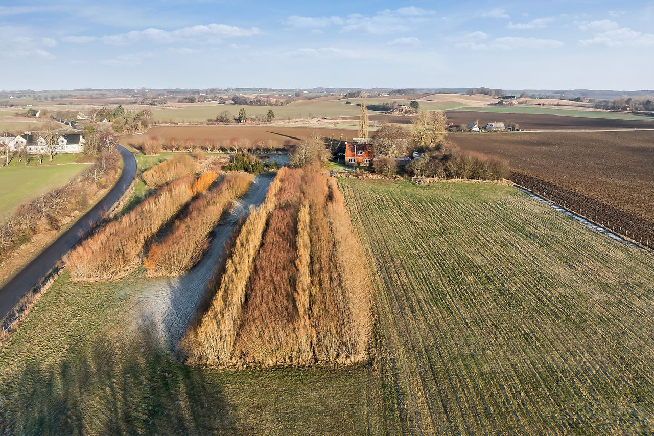 Ejendomsbillede 2 af 39