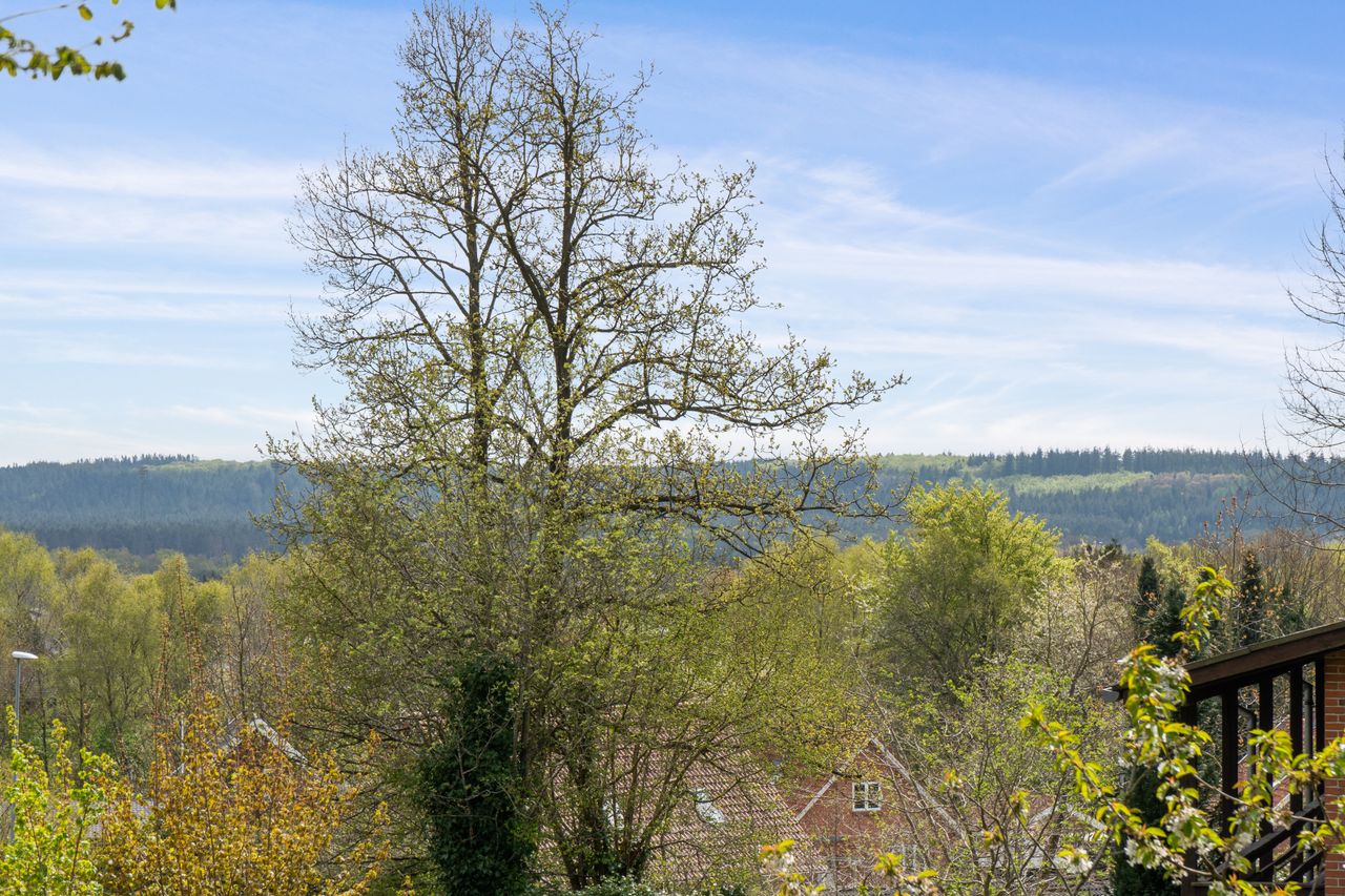 Ejendomsbillede 2 af 12