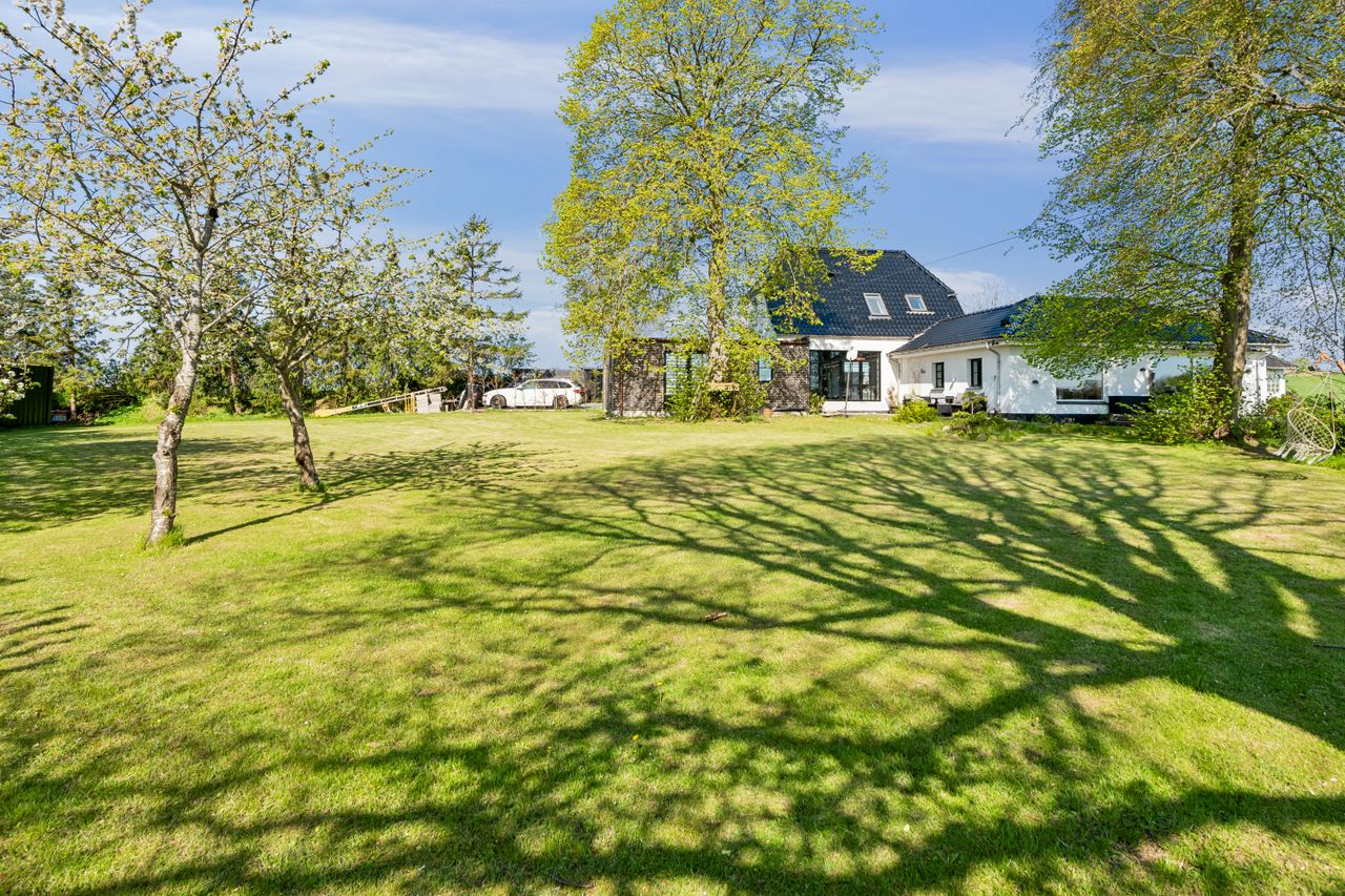 Ejendomsbillede 3 af 35