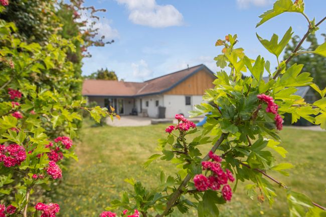 Jacob Bulls Alle 90, 