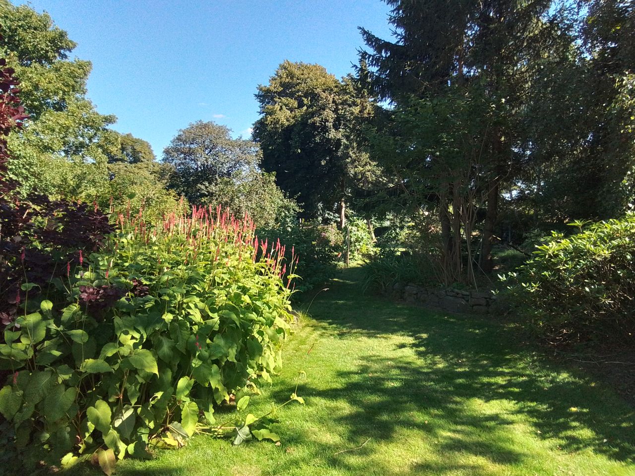 Ejendomsbillede 3 af 11