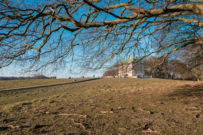 Natur og nærhed i området