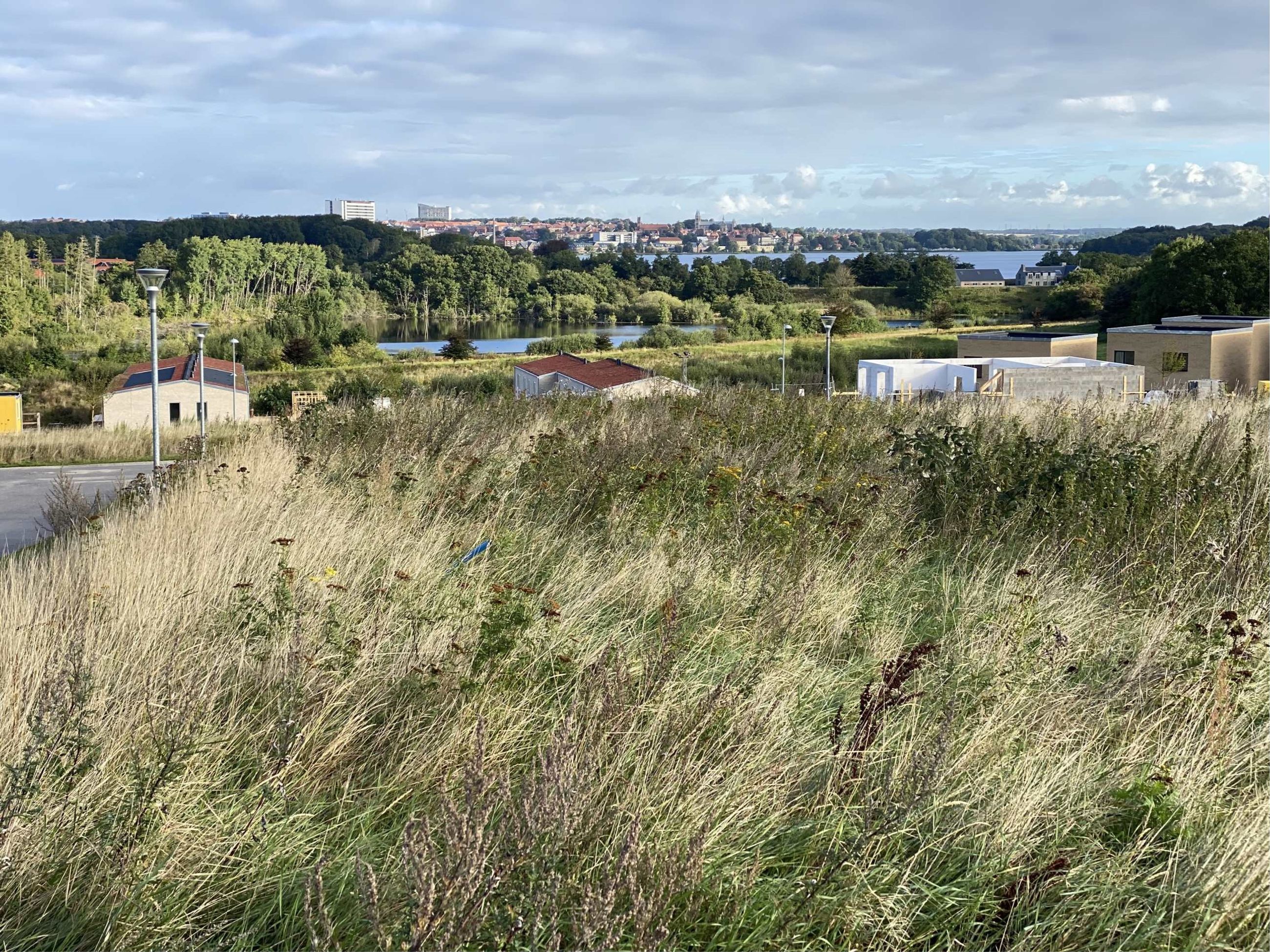 Arnbjerg Høje 35 Grund