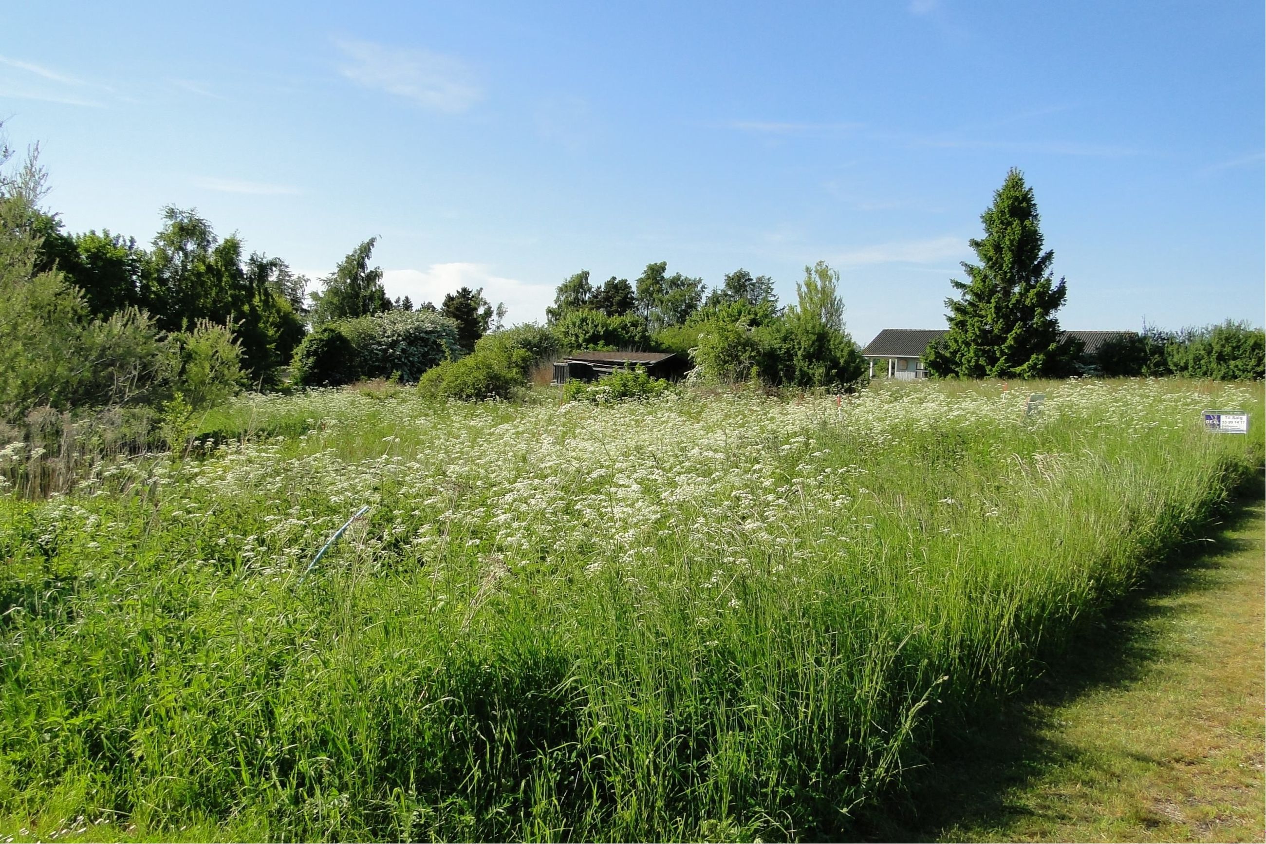 Anemonevej 11, Bønsvig Strand Grund