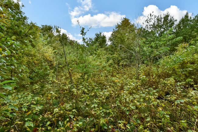 Skovbrynet 133,  Vesterlund