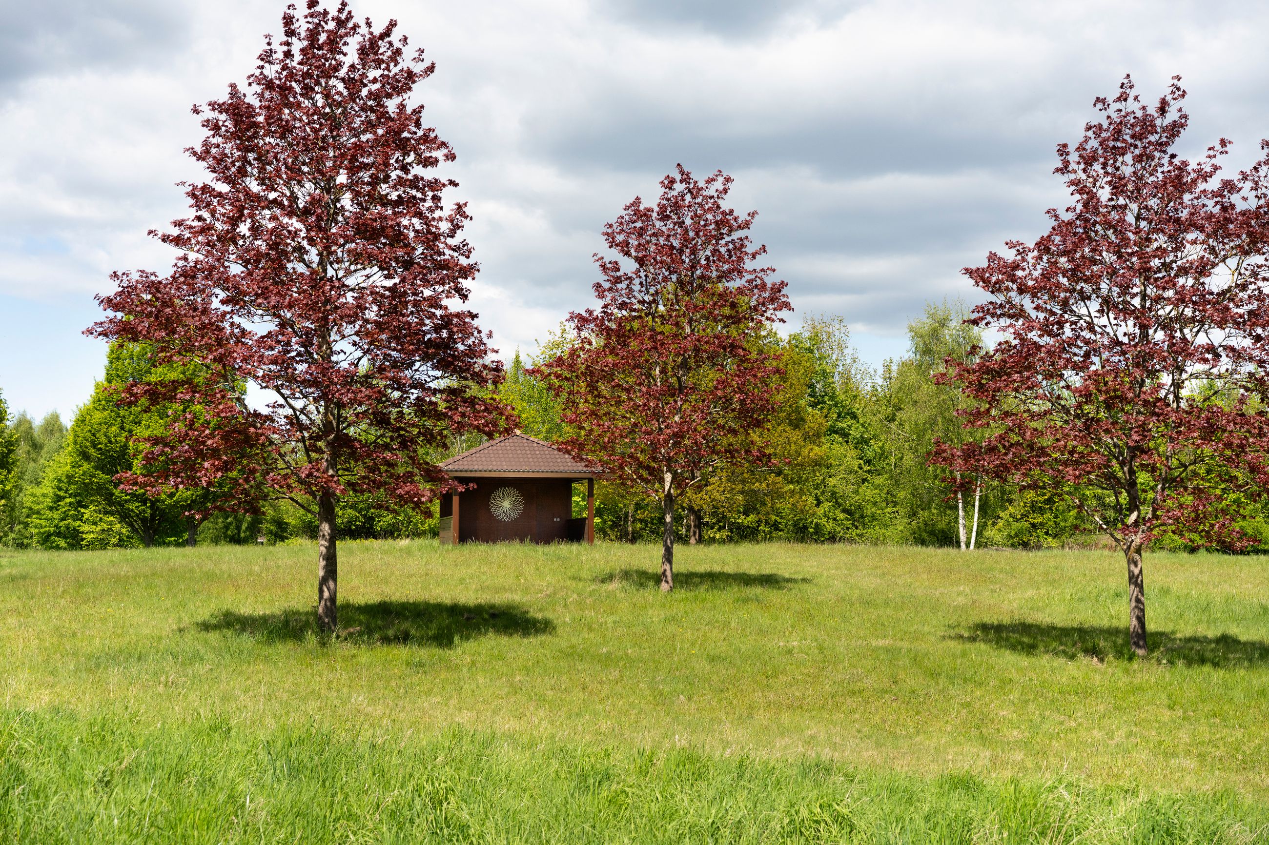 Høveltevej 86, Birkerød - Høveltevej 86 077.jpg
